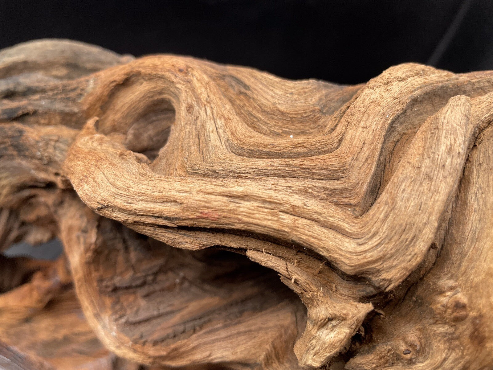 Aquarium Driftwood Wood Mix Natural Aquascape Design Unique - Twisted Titan