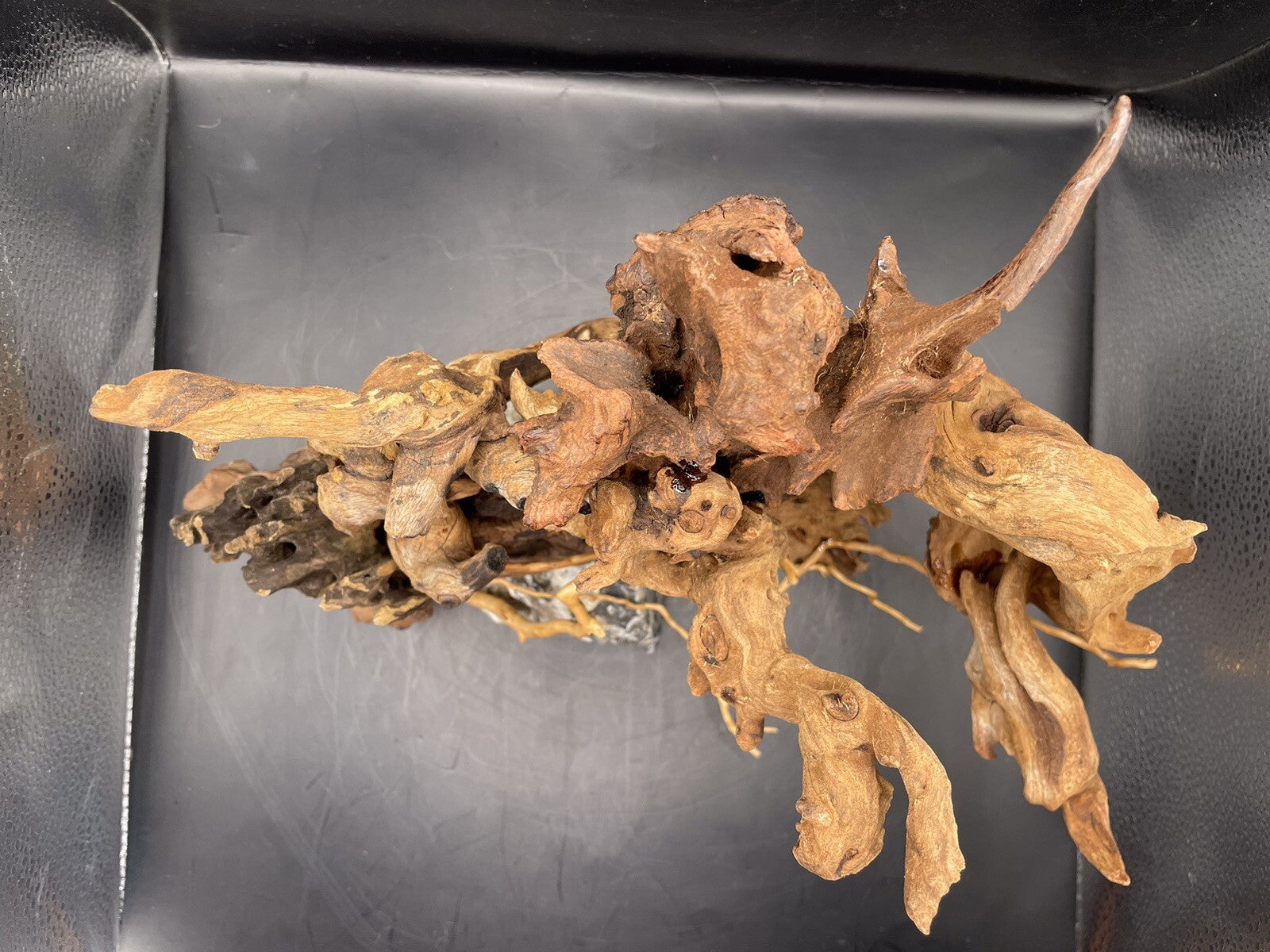 Aquarium Driftwood Wood Mix Natural Aquascape Design Unique -The Rootbound Heart