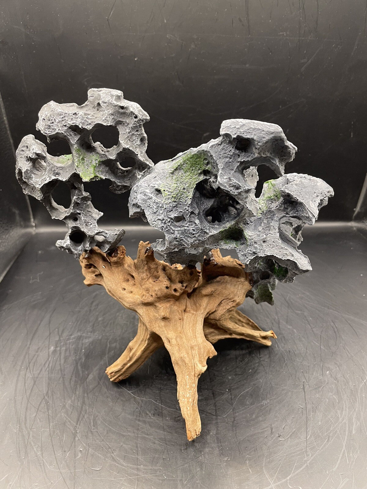 Aquarium Driftwood Wood Natural Aquascape Fish Tank - Another Planet B