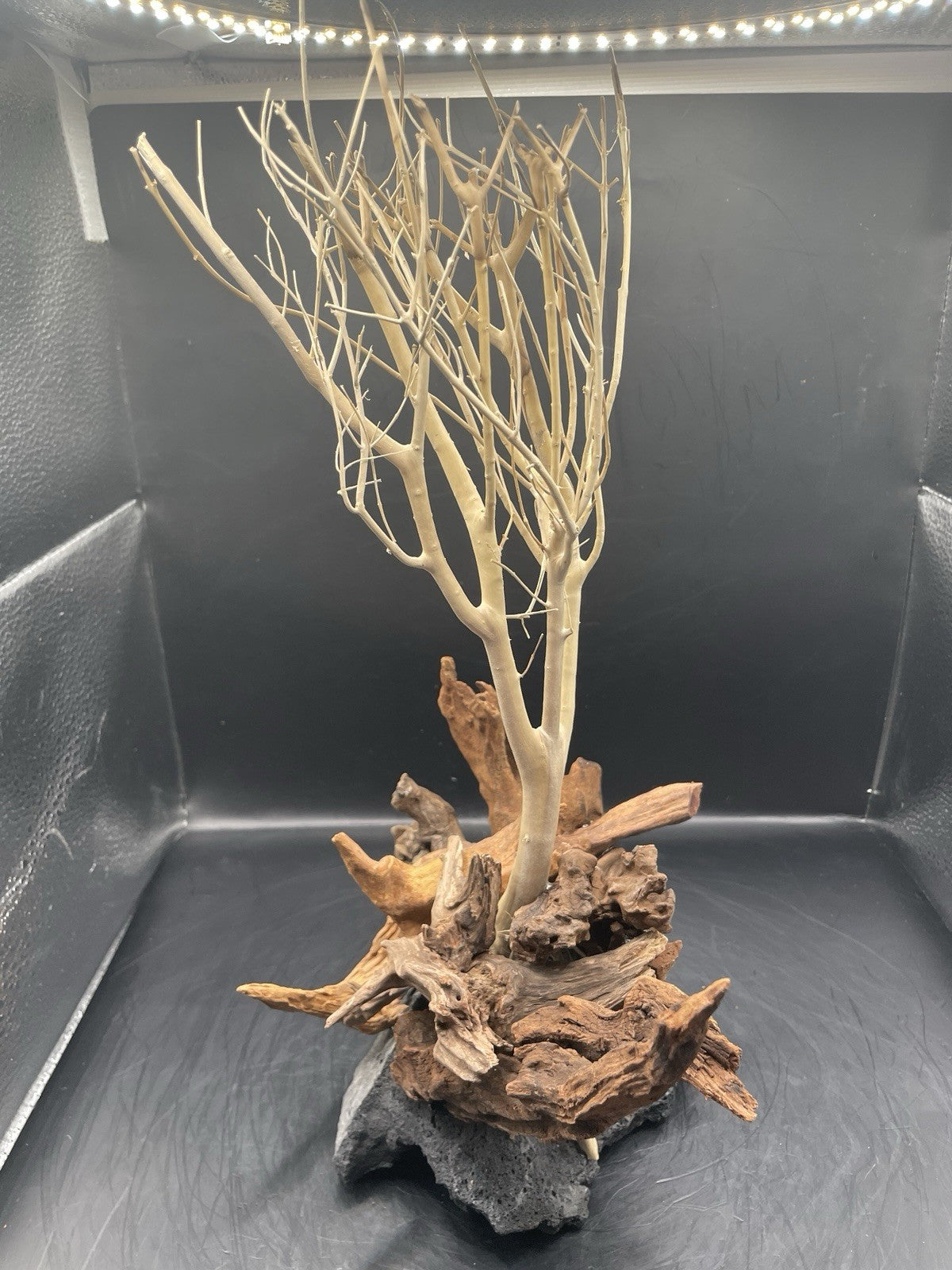 Aquarium Driftwood Wood Mix Natural Aquascape Design Unique - Katia