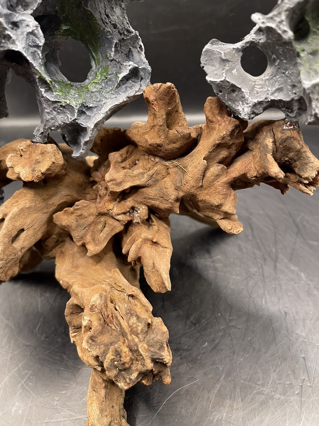 Aquarium Driftwood Wood Natural Aquascape Fish Tank - Another Planet B