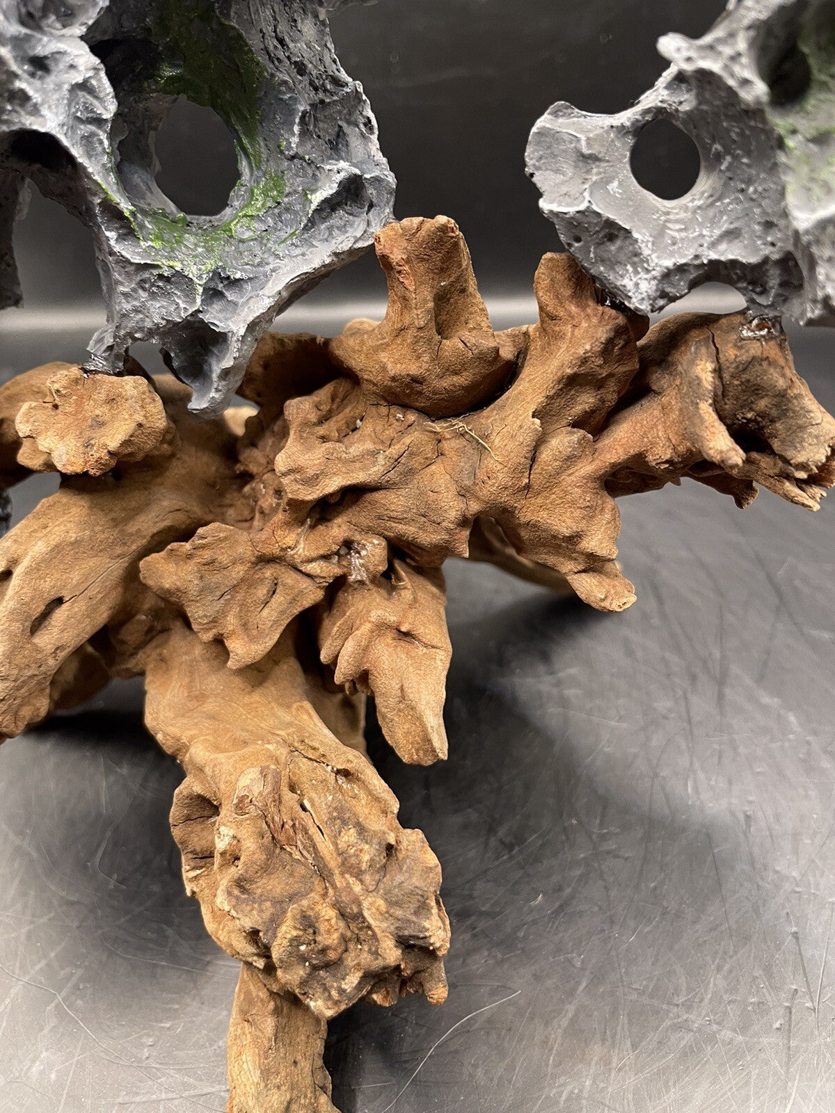 Aquarium Driftwood Wood Natural Aquascape Fish Tank - Another Planet B