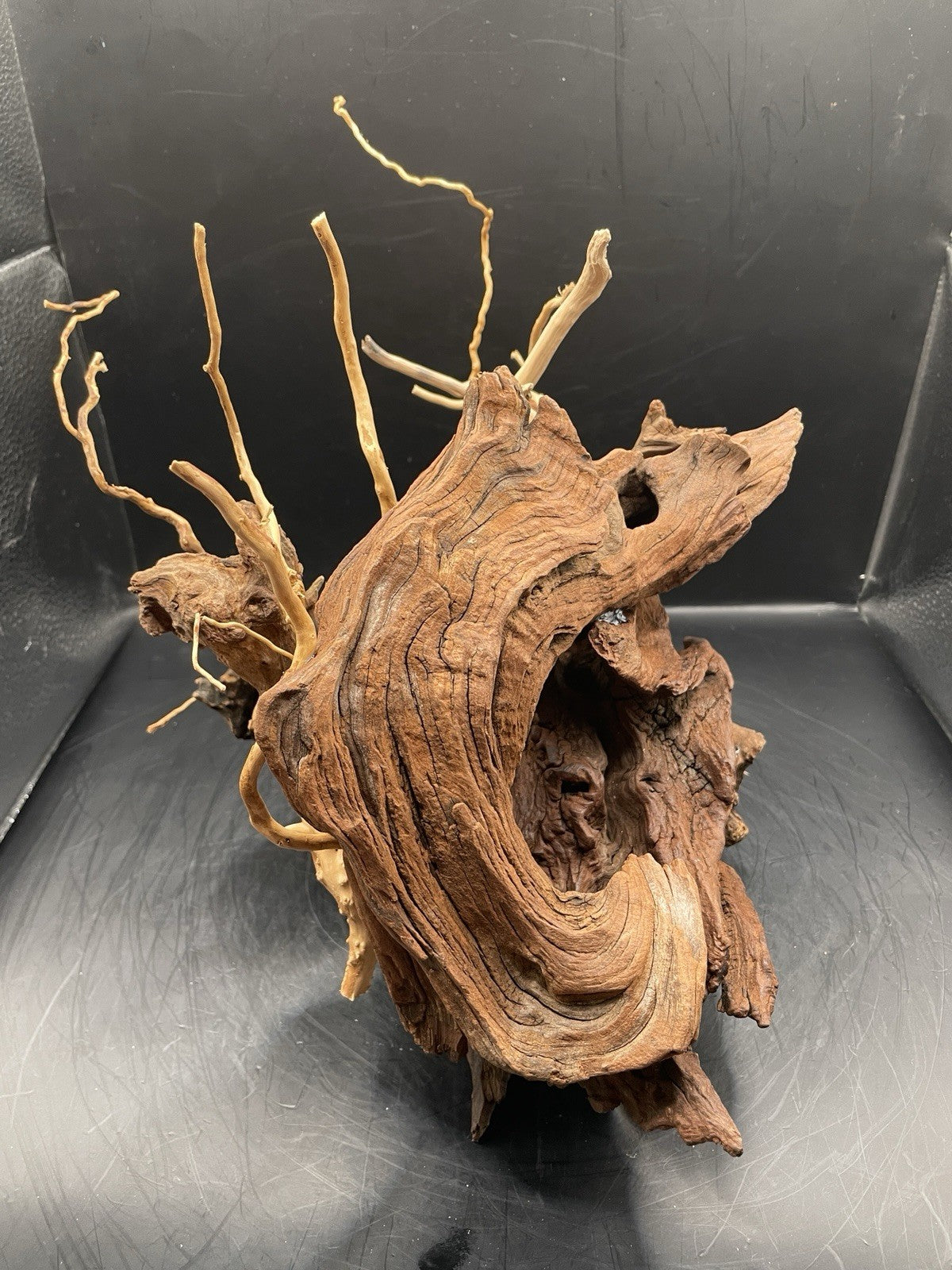 Aquarium Vivarium Driftwood Handcrafted Unique Cave Decoration-The Silvan Maw