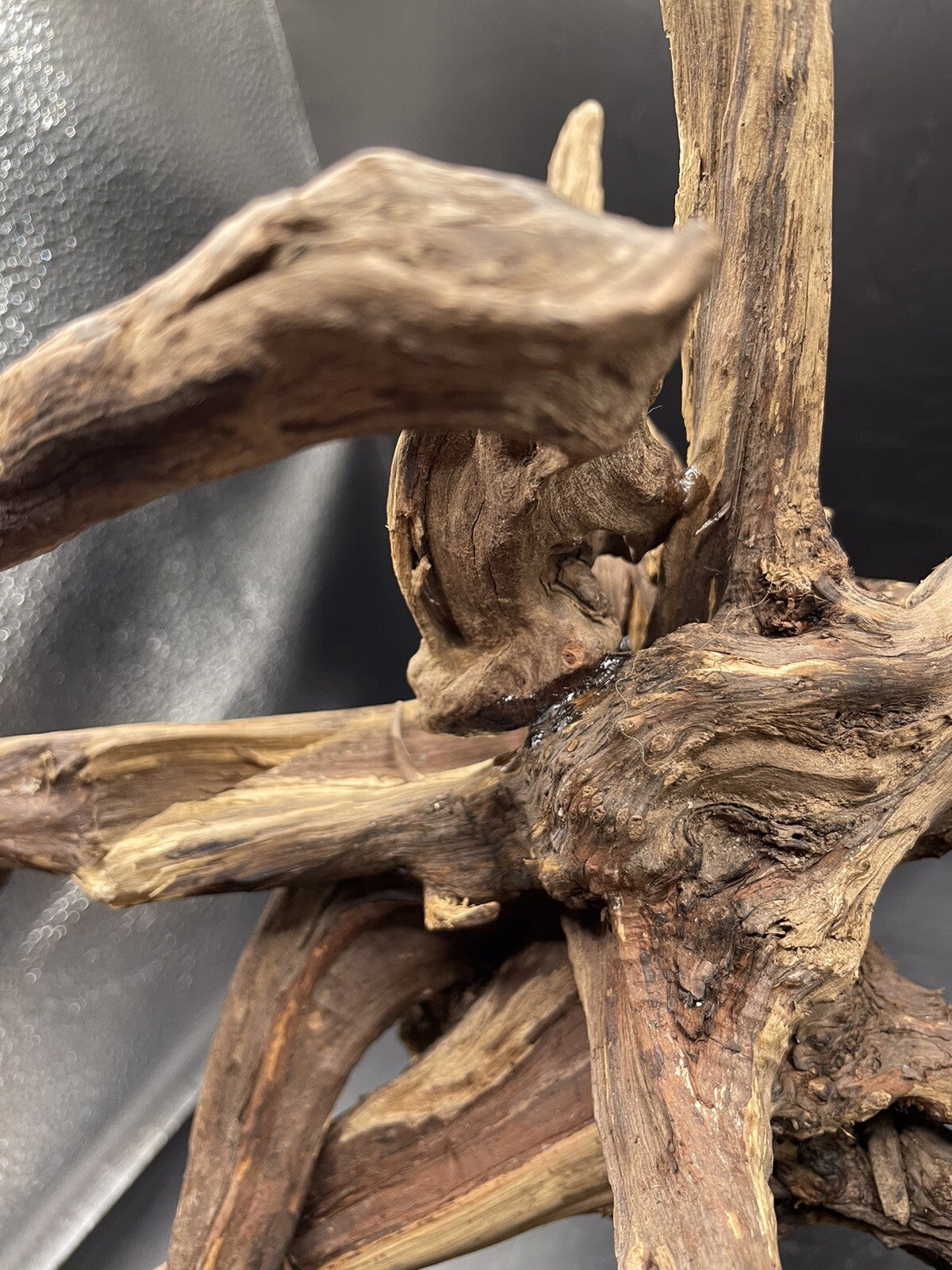 Aquarium Driftwood Wood Natural Aquascape Fish Tank - Starburst Stump