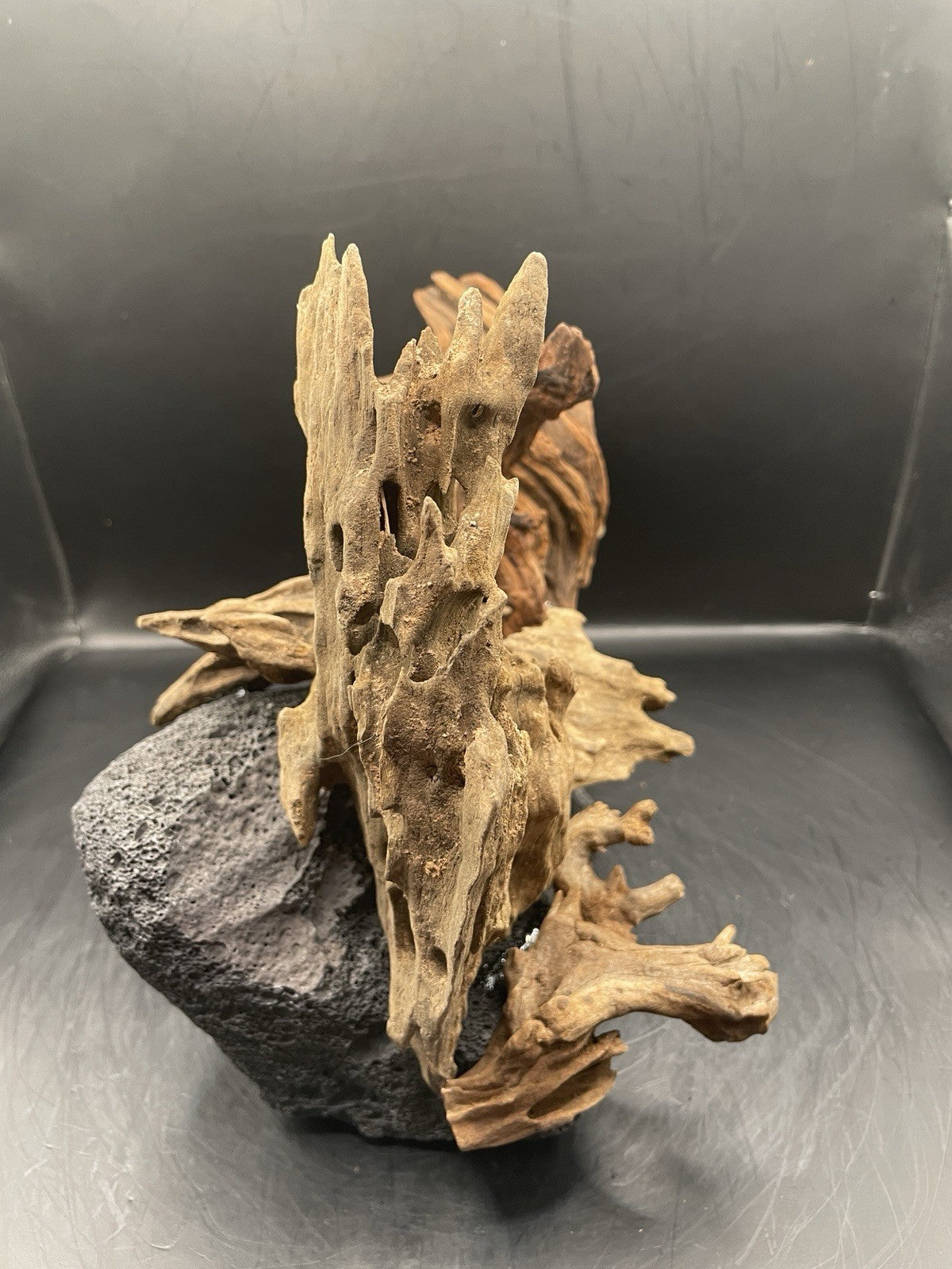 Aquarium Driftwood Handcrafted Aquascape Unique Lava Rock - Vesuvius