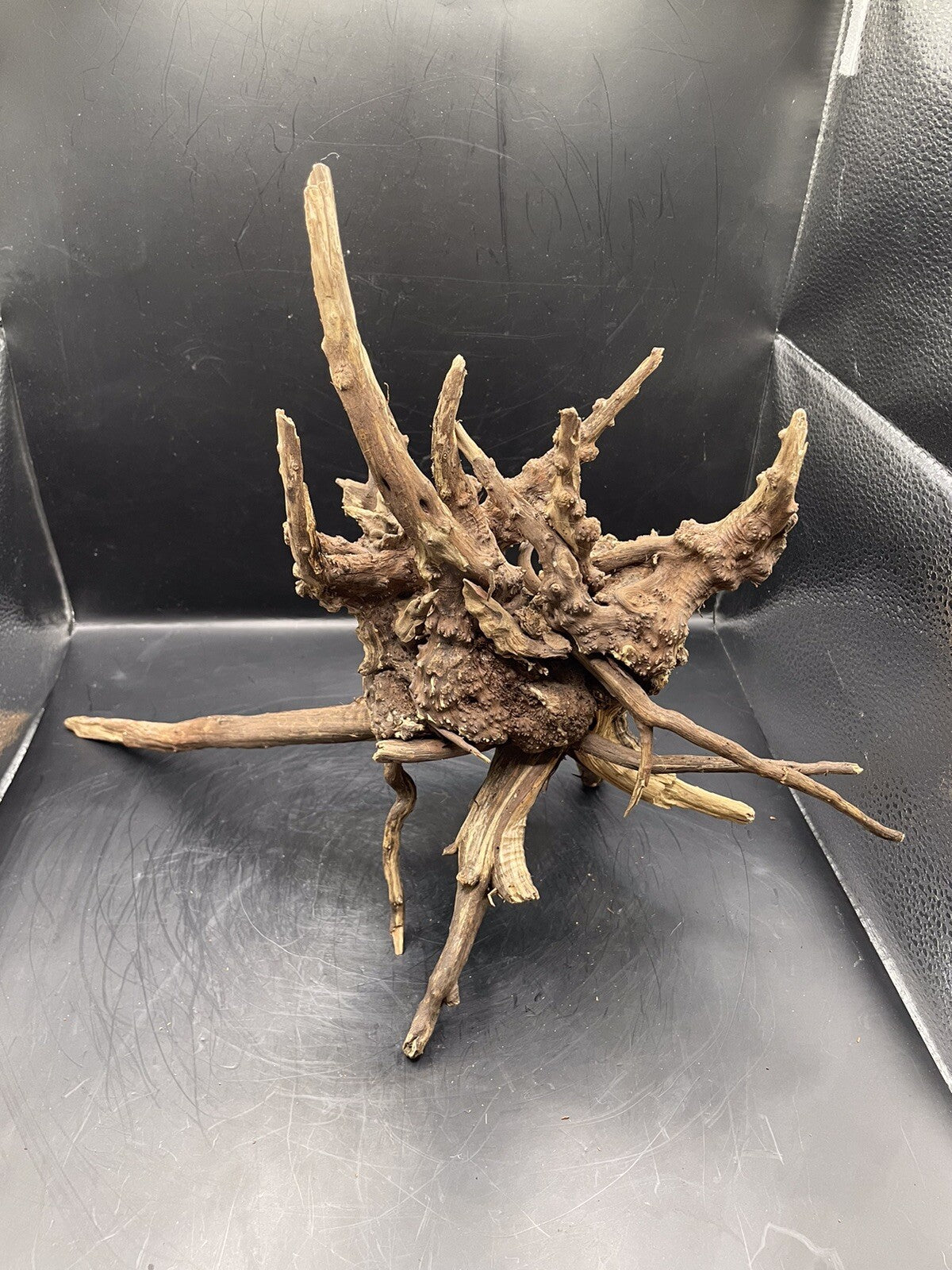 Aquarium Driftwood Wood Natural Aquascape Fish Tank - Starburst Stump