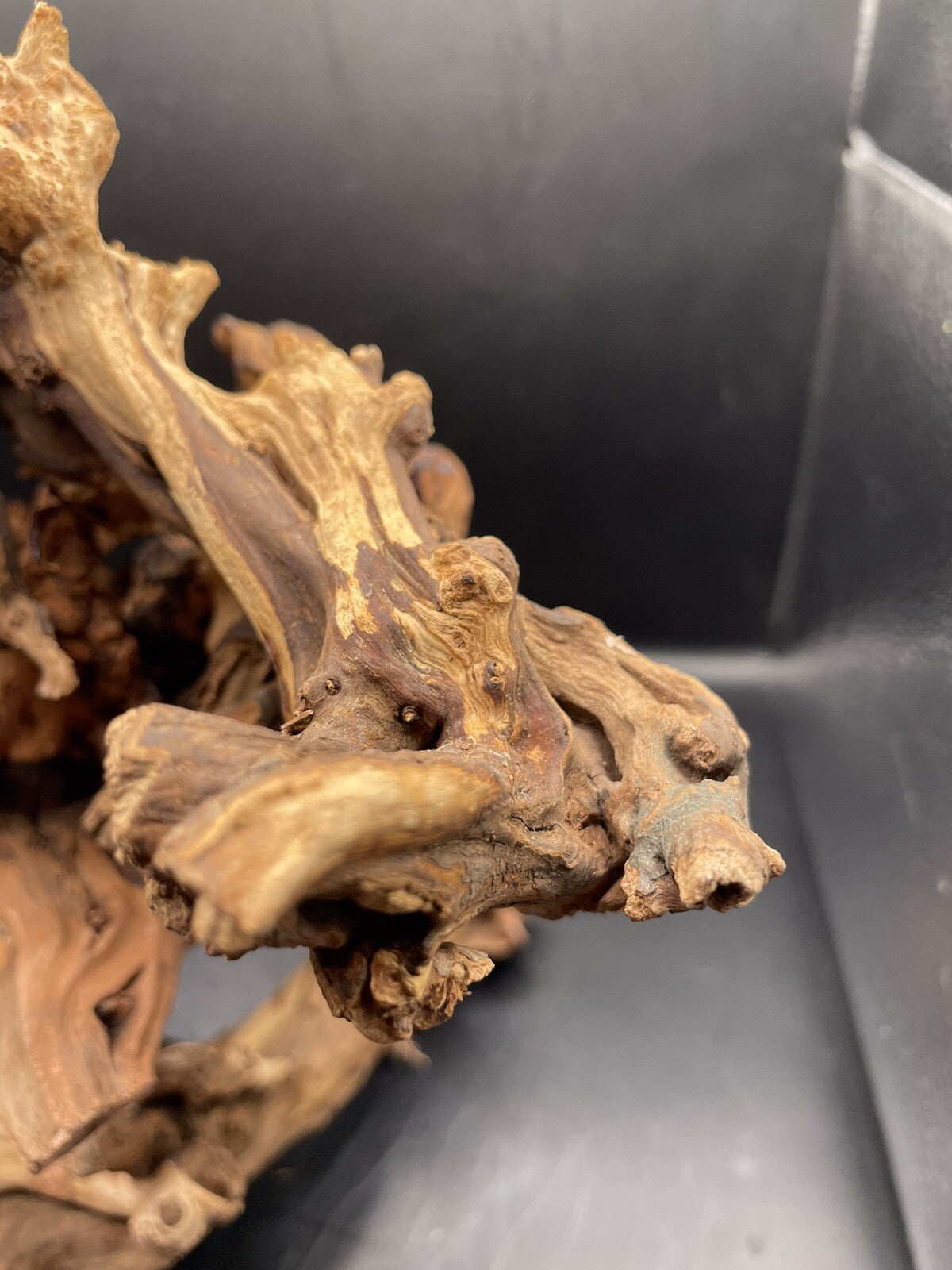 Aquarium Driftwood Wood Mix Natural Aquascape Design Unique - Serpents Spine