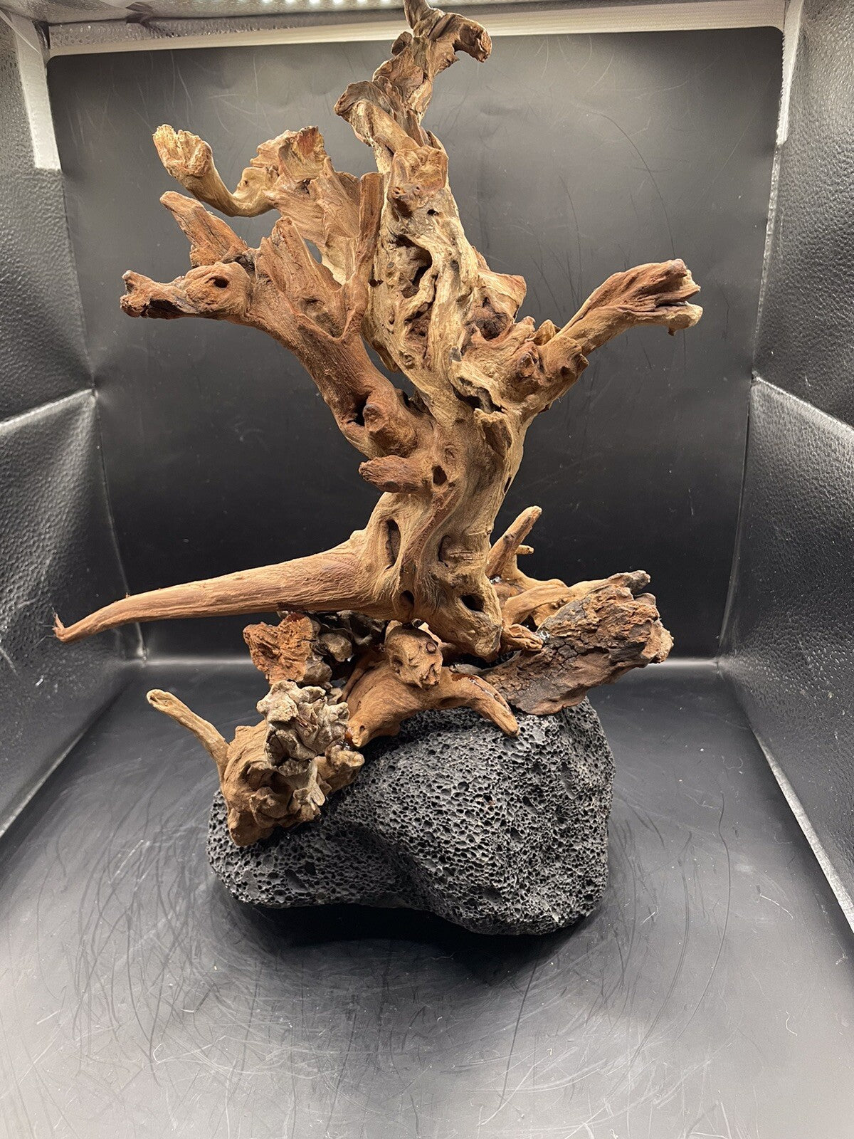 Aquarium Driftwood Wood Mix Natural Aquascape Unique Design - Fangspire Ascent