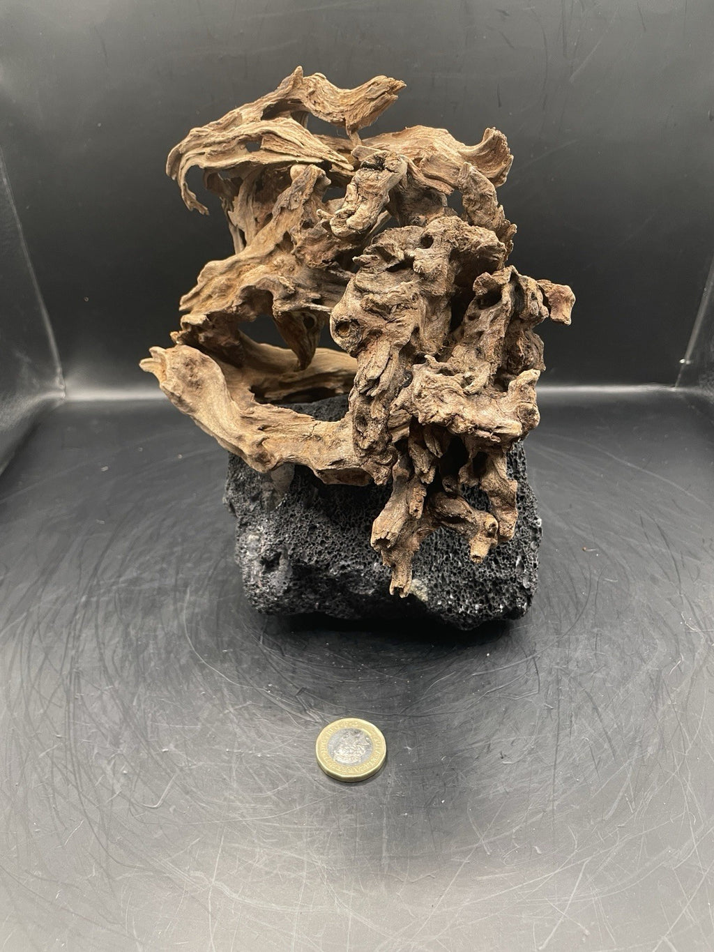 Aquarium Driftwood Handcrafted Aquascape Unique Lava Rock - Askja