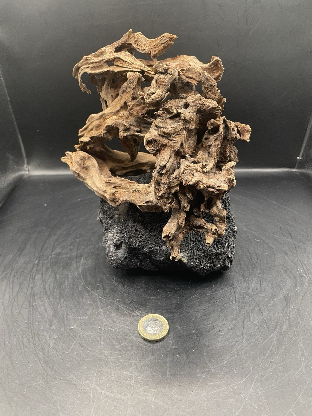Aquarium Driftwood Handcrafted Aquascape Unique Lava Rock - Askja