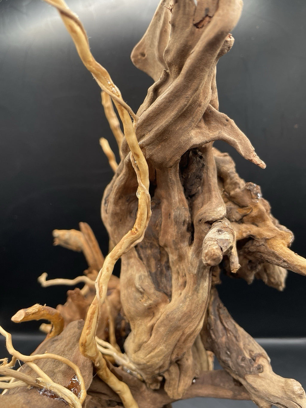 Aquarium Driftwood Handcrafted Aquascape Unique - The Bramble Reliquary