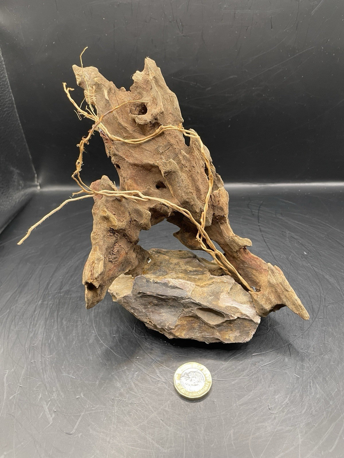 Aquarium Driftwood Handcrafted Aquascape Unique - The Triad of Thorne