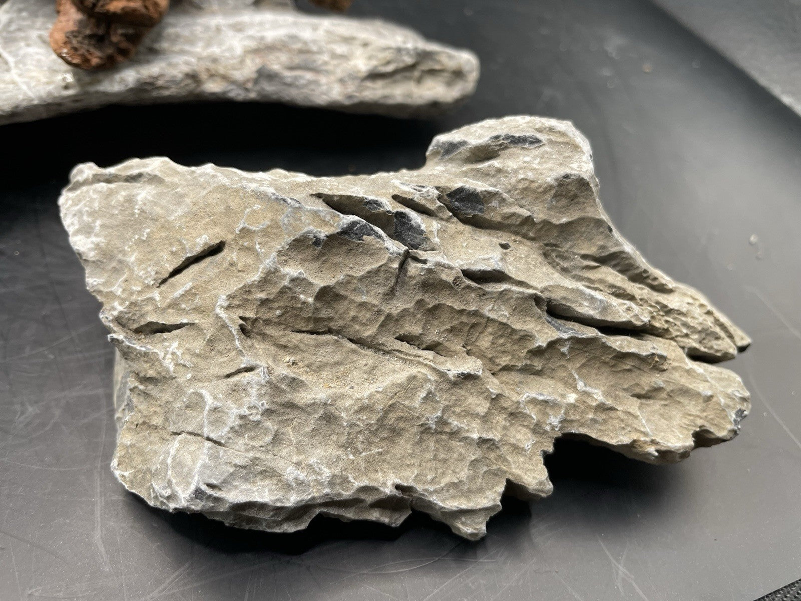Aquarium Driftwood, Handcrafted Aquascape Unique Decoration - Elderhowl