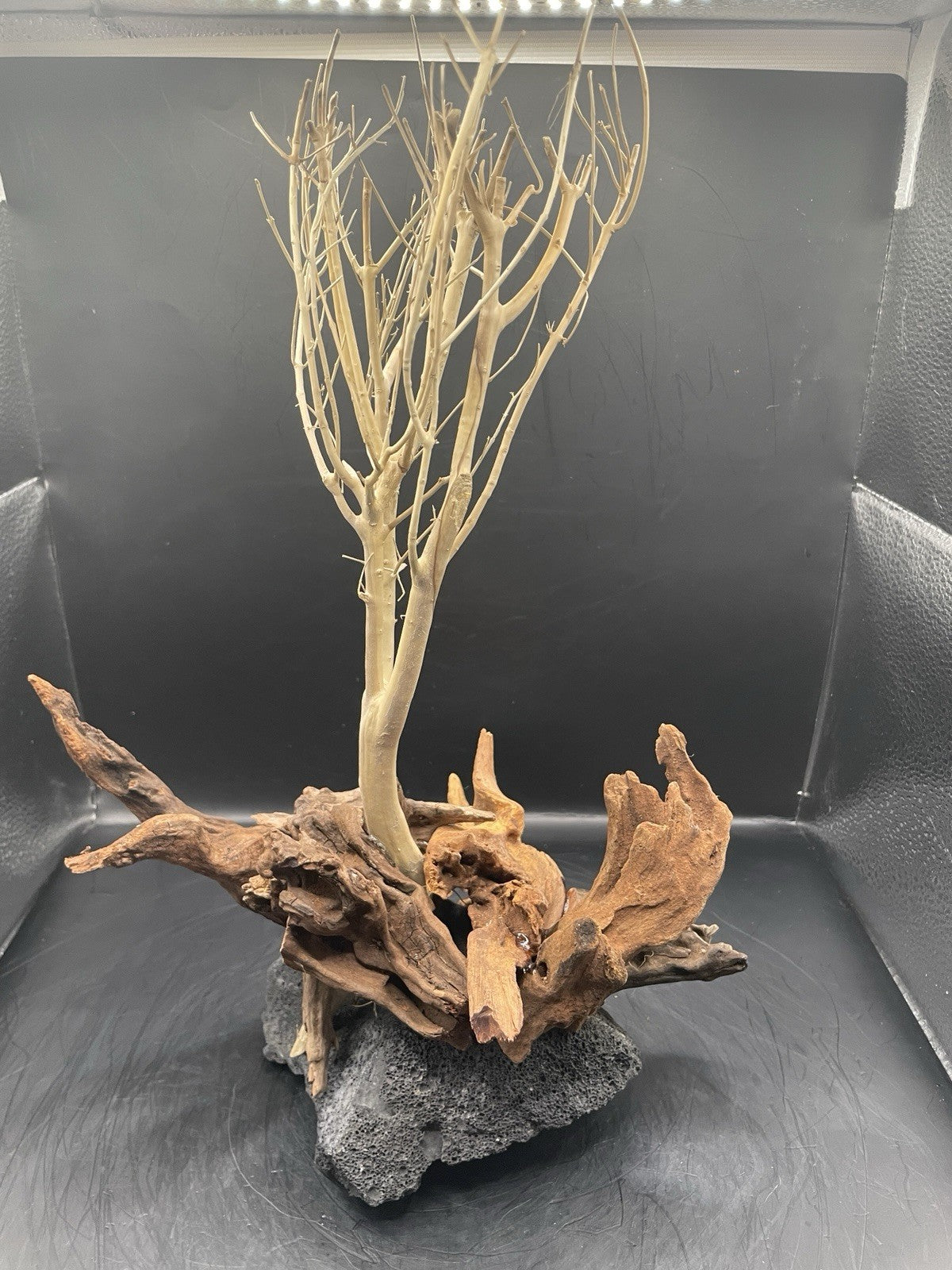 Aquarium Driftwood Wood Mix Natural Aquascape Design Unique - Katia