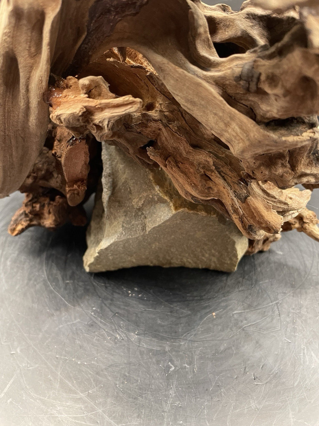 Aquarium Driftwood Handcrafted Aquascape Unique Decoration - Seraphroot.