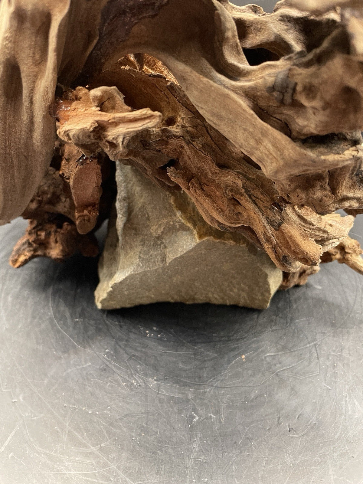 Aquarium Driftwood Handcrafted Aquascape Unique Decoration - Seraphroot.