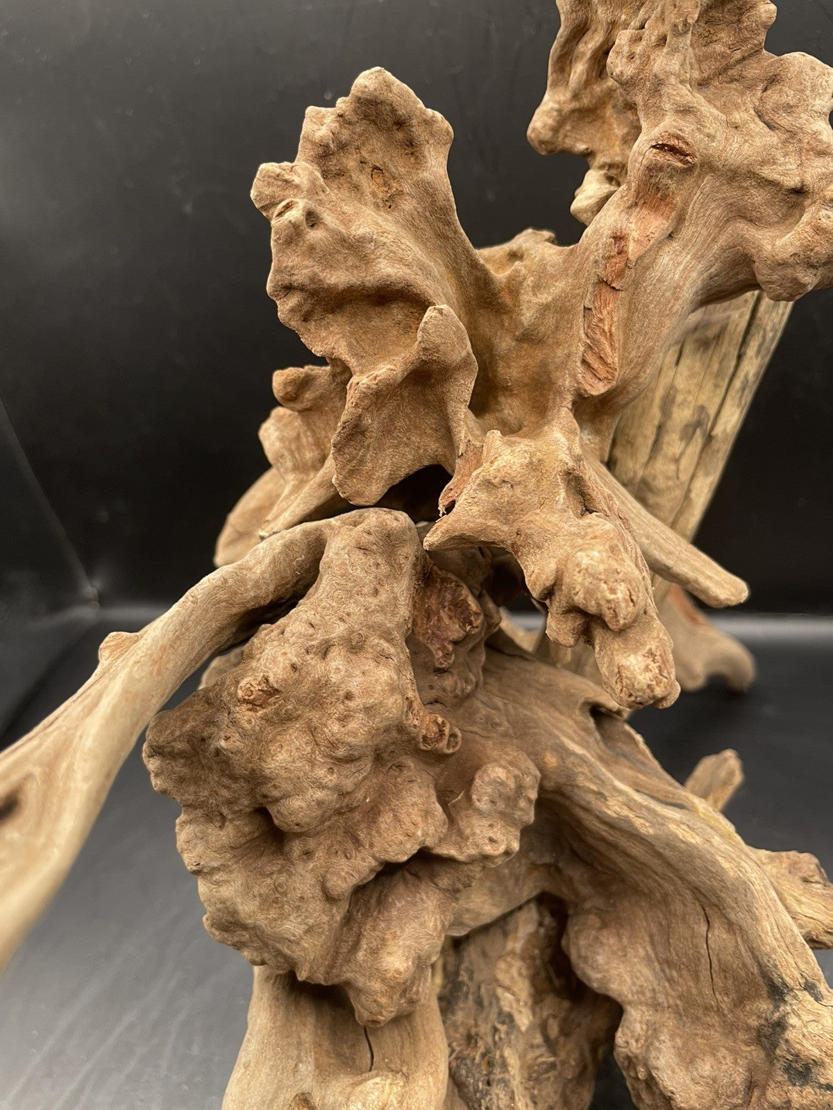 Aquarium Driftwood, Handcrafted Aquascape Unique Decoration - Stormperch