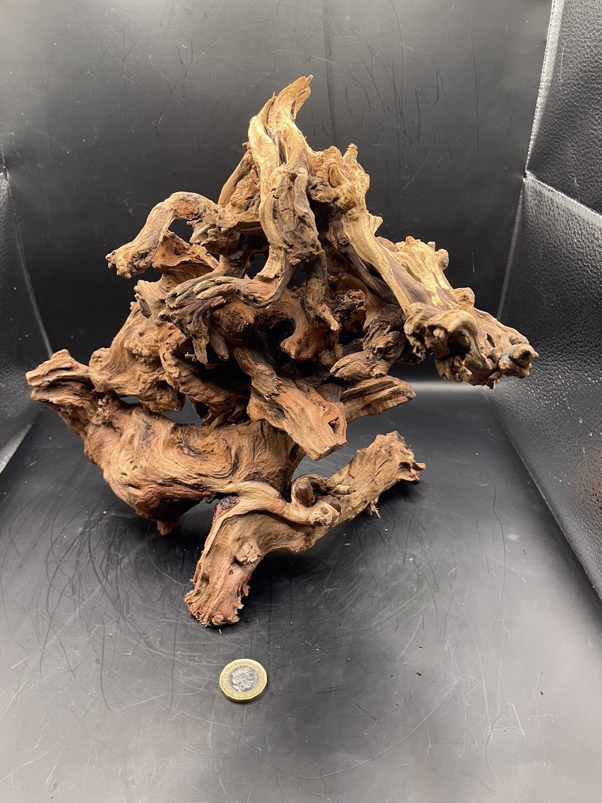 Aquarium Driftwood Wood Mix Natural Aquascape Design Unique - Serpents Spine
