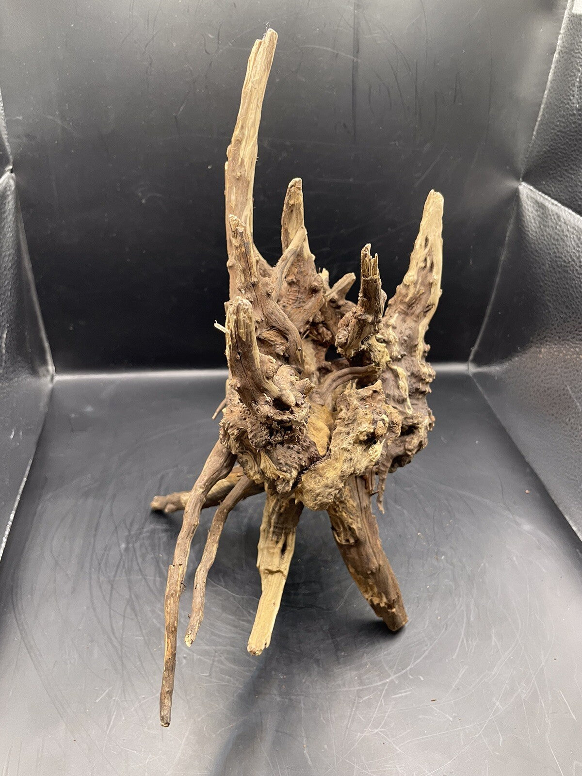 Aquarium Driftwood Wood Natural Aquascape Fish Tank - Starburst Stump