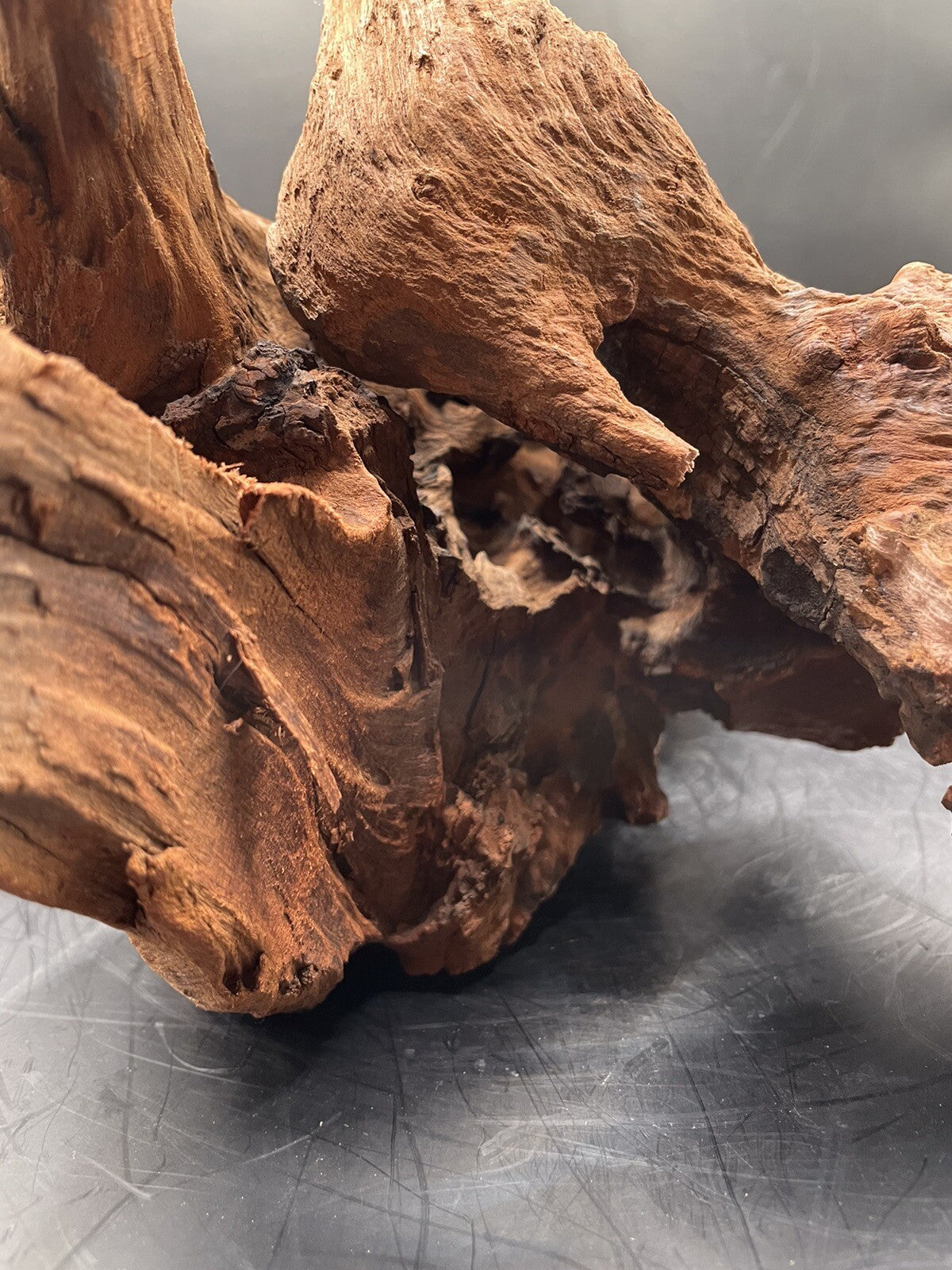 Aquarium Driftwood Wood Natural Aquascape Fish Tank - Gnarleth’s Refuge