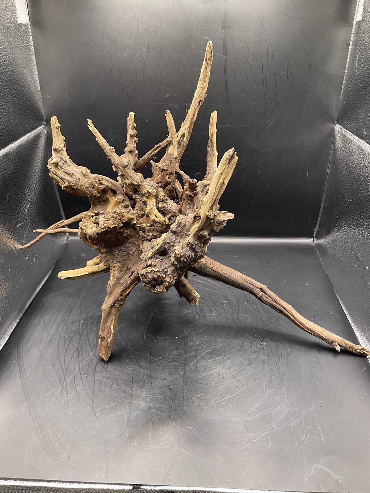 Aquarium Driftwood Wood Natural Aquascape Fish Tank - Starburst Stump