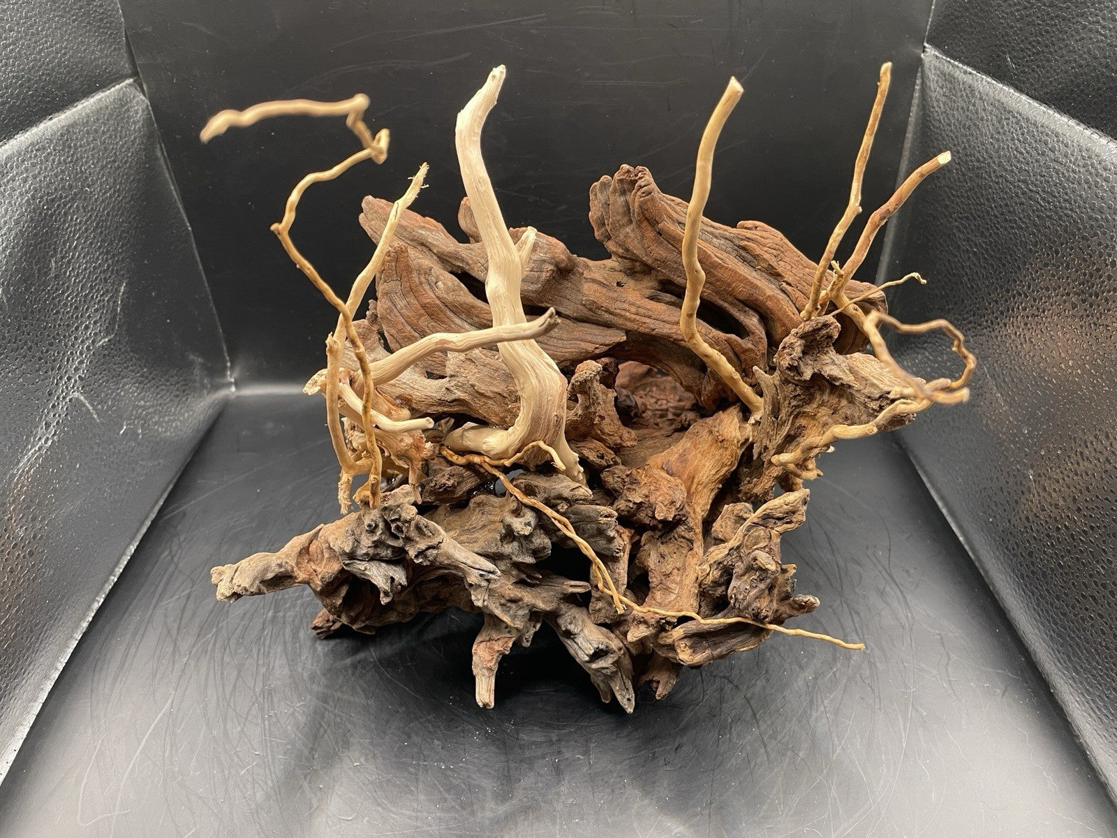 Aquarium Vivarium Driftwood Handcrafted Unique Cave Decoration-The Silvan Maw
