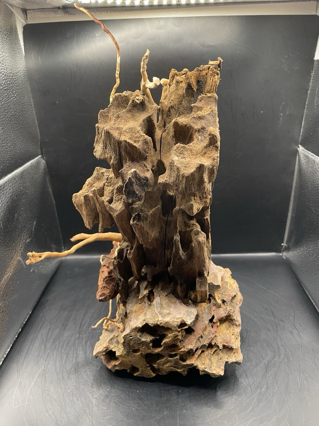 Aquarium Driftwood Handcrafted Aquascape Unique - Fenbone Gate