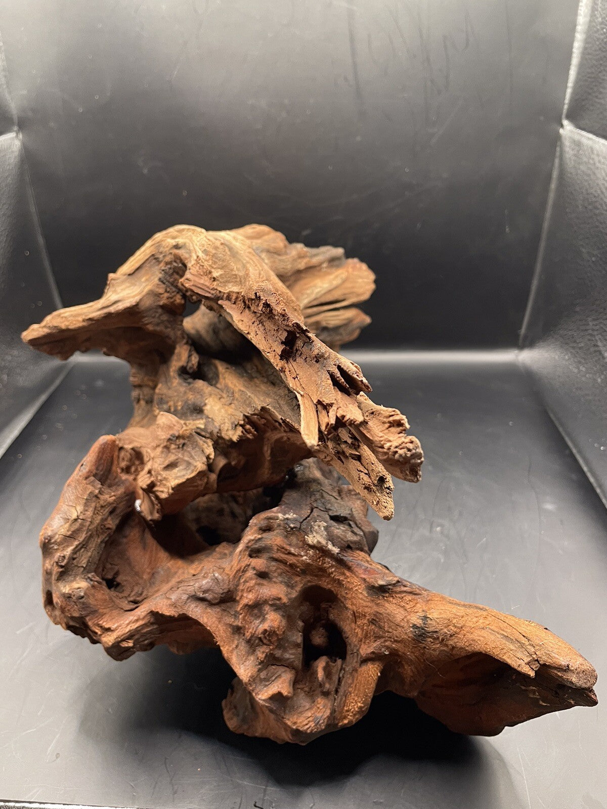 Aquarium Driftwood Wood Mix Natural Aquascape Design Unique - Twisted Titan
