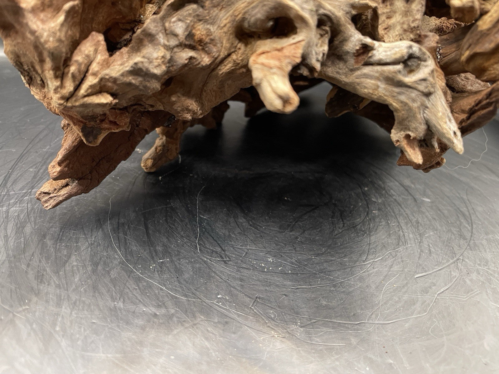 Aquarium Vivarium Driftwood Handcrafted Unique Cave Decoration-The Silvan Maw