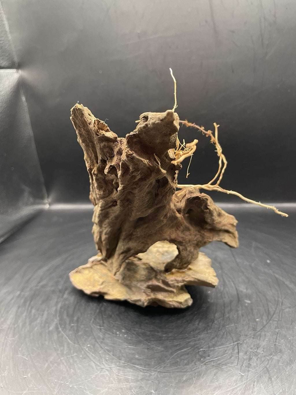 Aquarium Driftwood Handcrafted Aquascape Unique - The Triad of Thorne