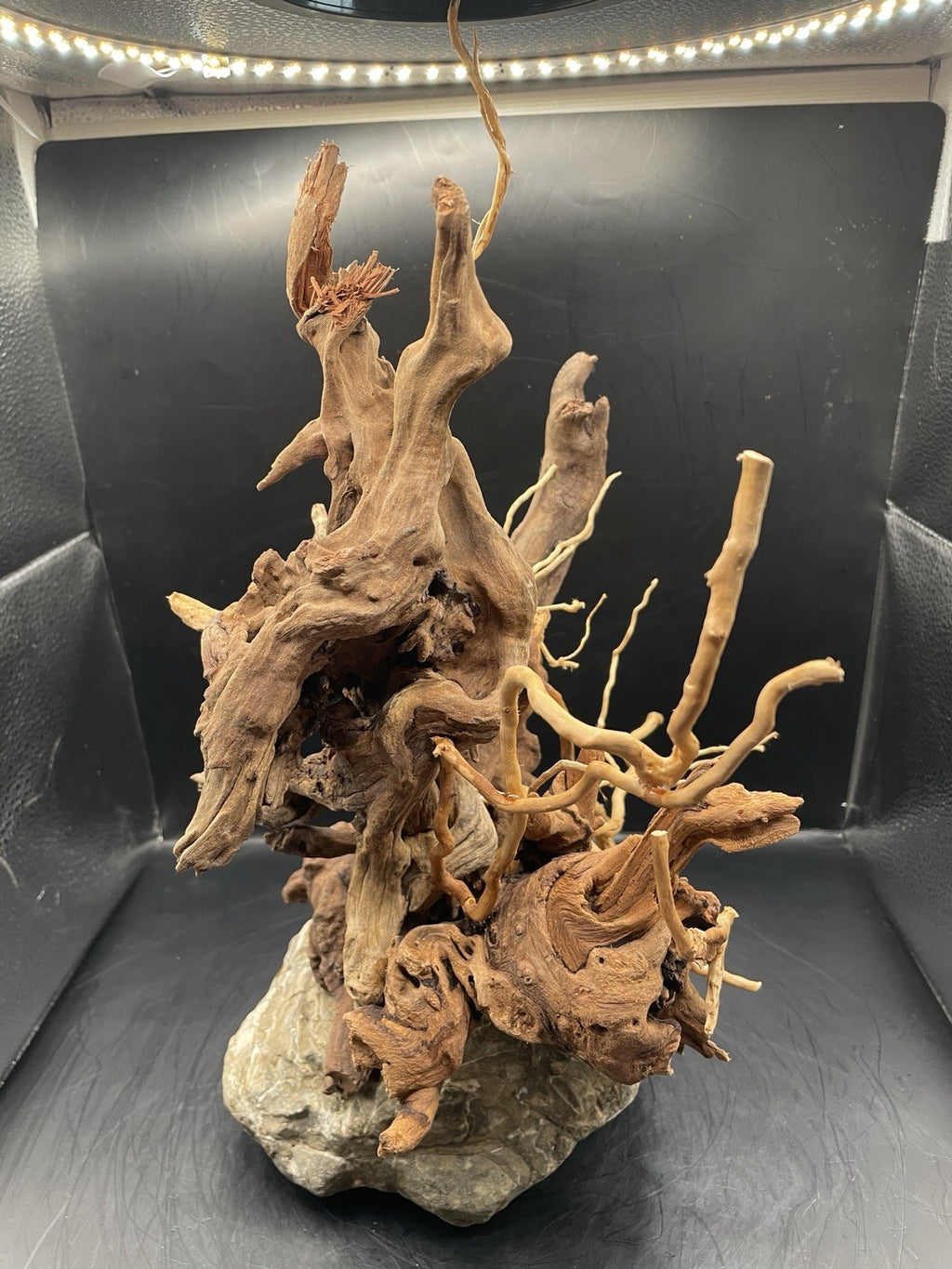 Aquarium Driftwood Handcrafted Aquascape Unique - The Bramble Reliquary