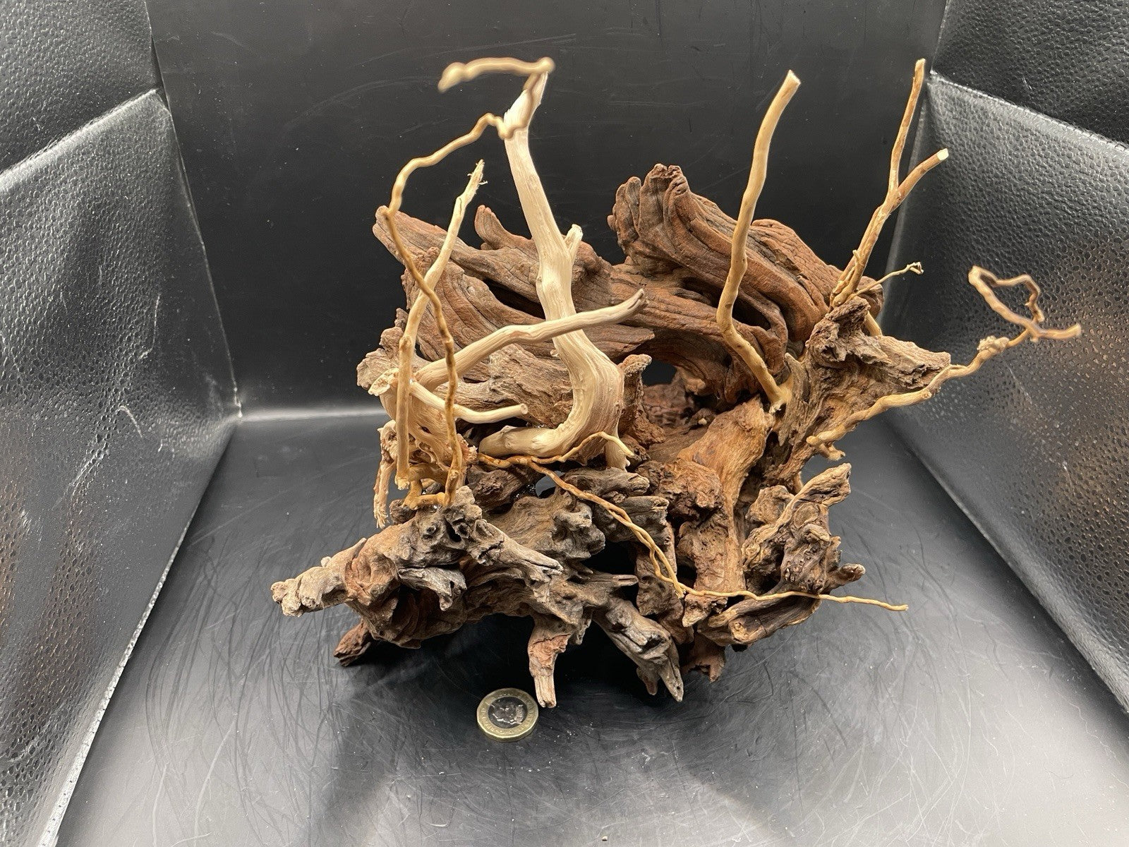 Aquarium Vivarium Driftwood Handcrafted Unique Cave Decoration-The Silvan Maw