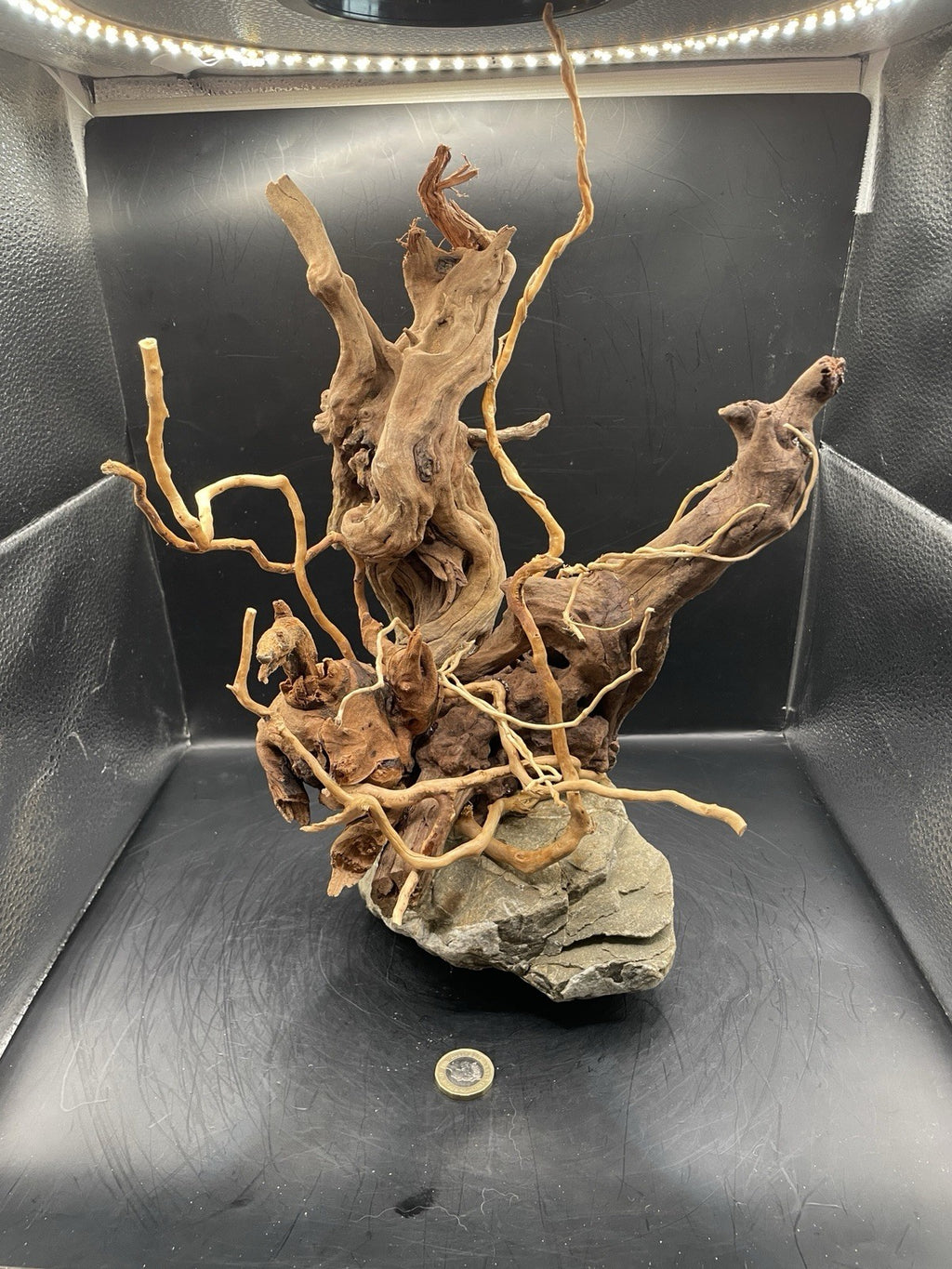 Aquarium Driftwood Handcrafted Aquascape Unique - The Bramble Reliquary