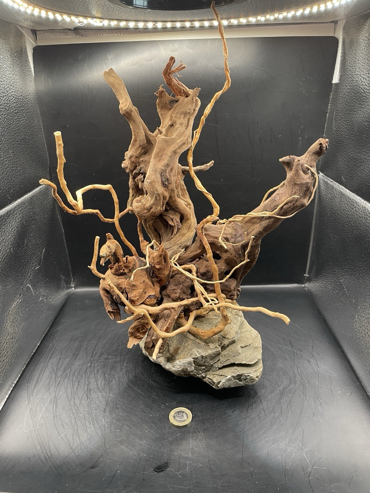 Aquarium Driftwood Handcrafted Aquascape Unique - The Bramble Reliquary