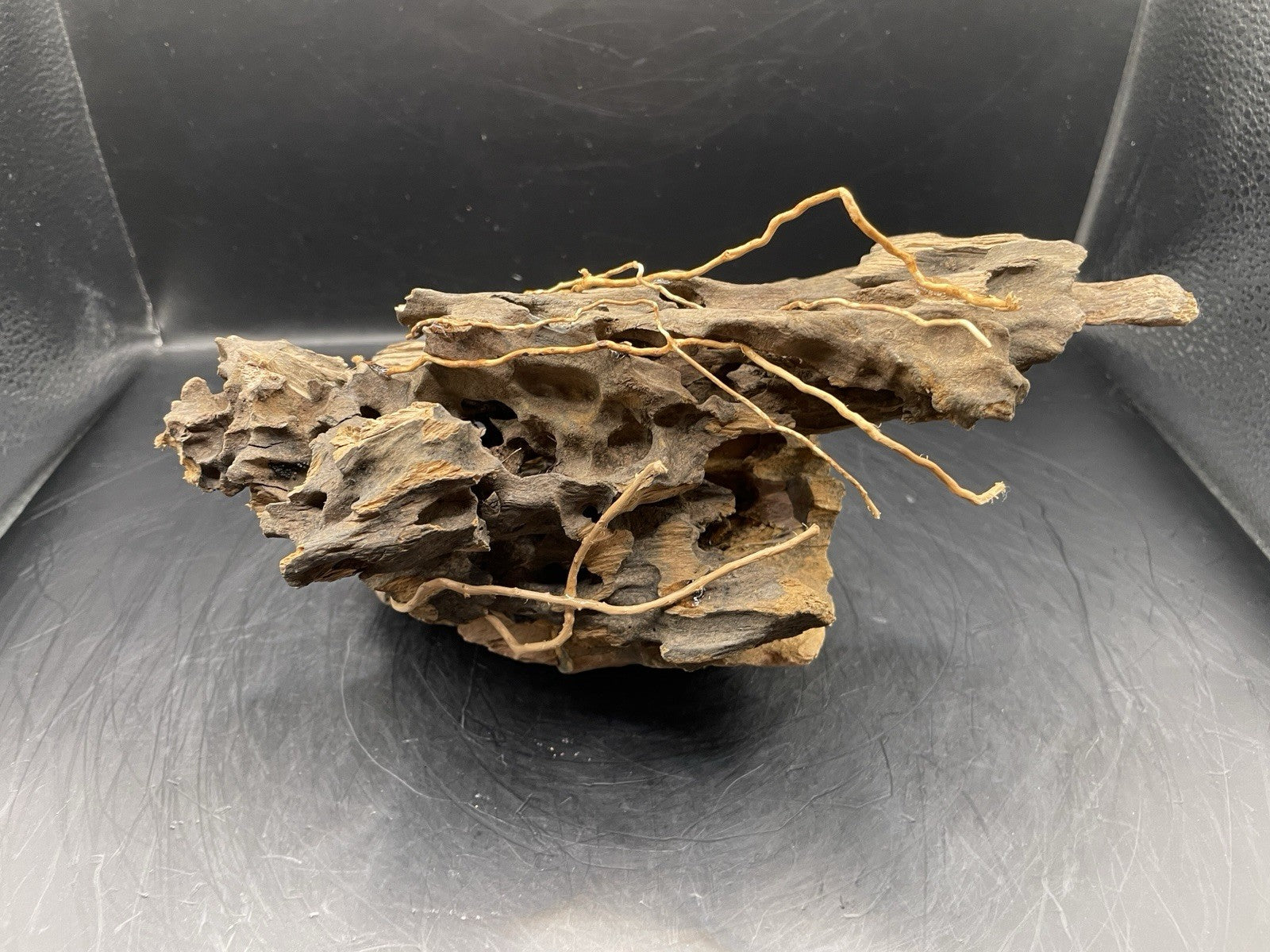 Aquarium Driftwood Handcrafted Aquascape Unique - The Triad of Thorne
