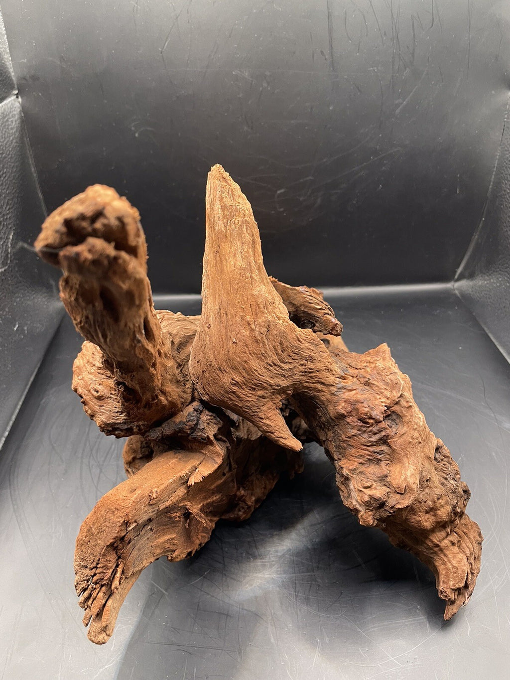 Aquarium Driftwood Wood Natural Aquascape Fish Tank - Gnarleth’s Refuge