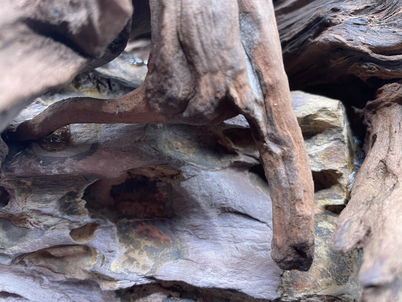 Aquarium Driftwood, Handcrafted Aquascape Unique Decoration - Timbercrest