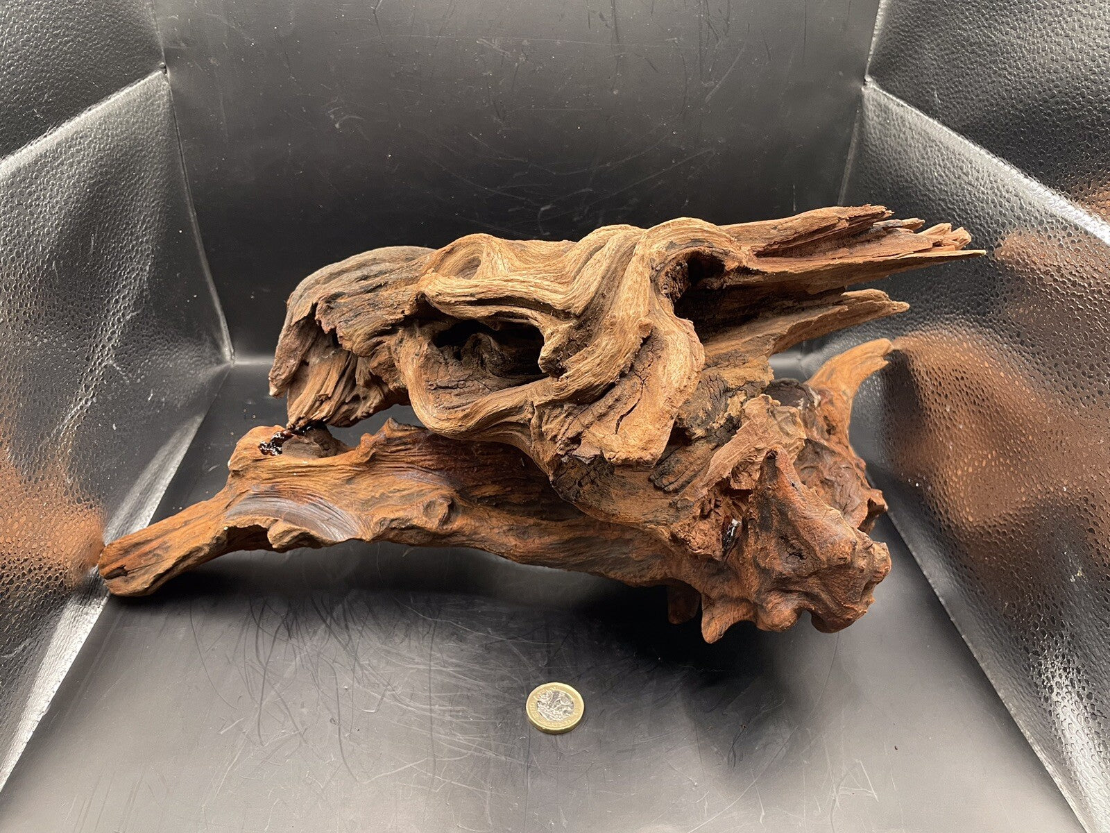 Aquarium Driftwood Wood Mix Natural Aquascape Design Unique - Twisted Titan