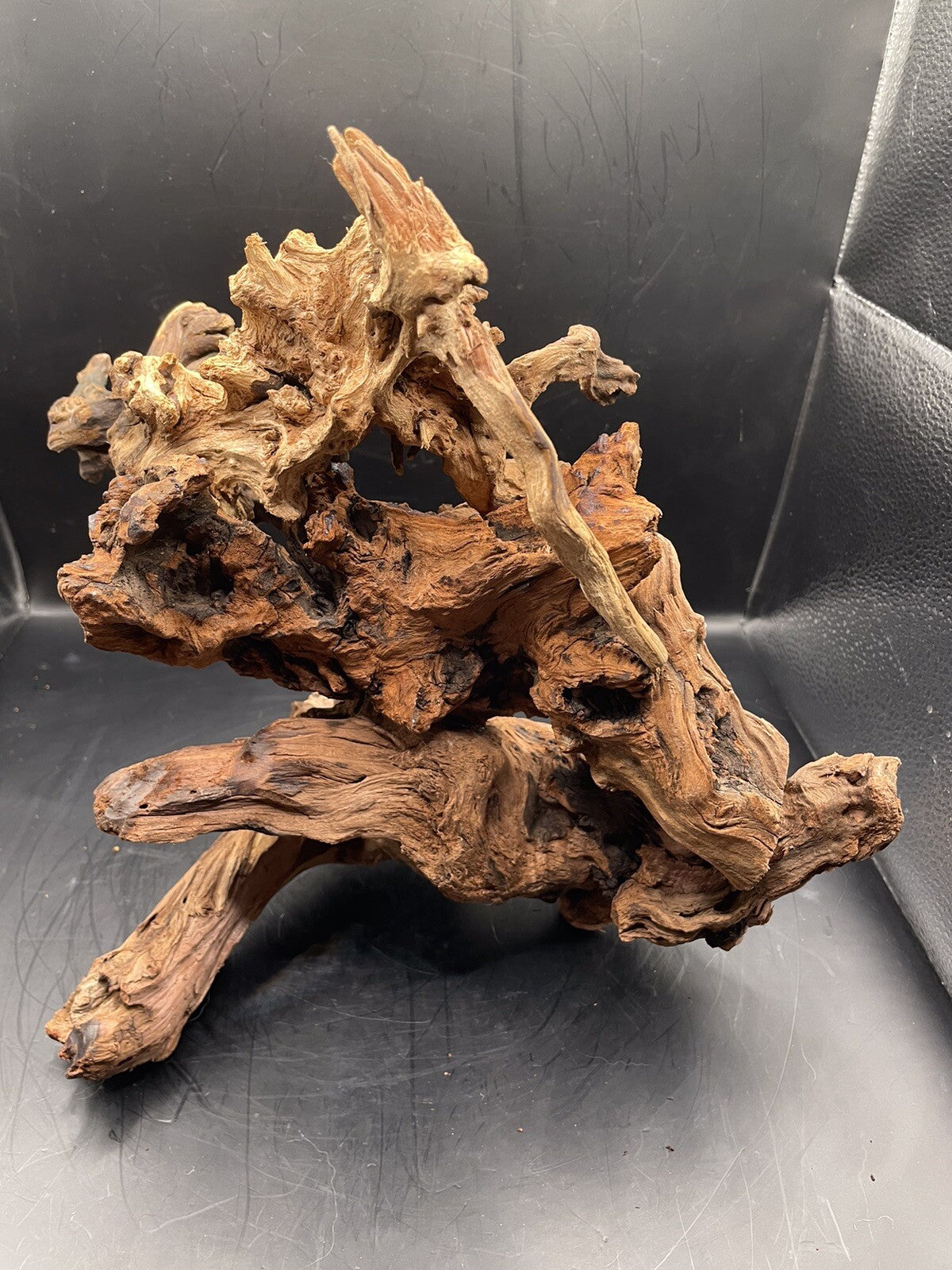 Aquarium Driftwood Wood Mix Natural Aquascape Design Unique - Serpents Spine