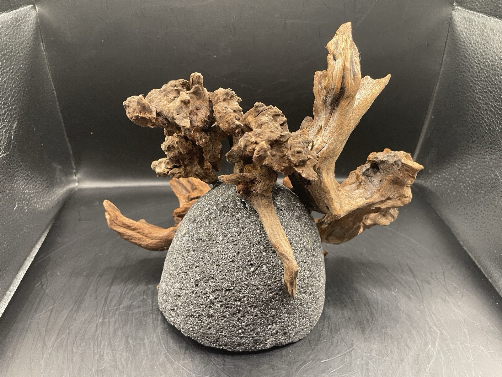 Aquarium Driftwood Handcrafted Aquascape Unique Lava Rock - Etna