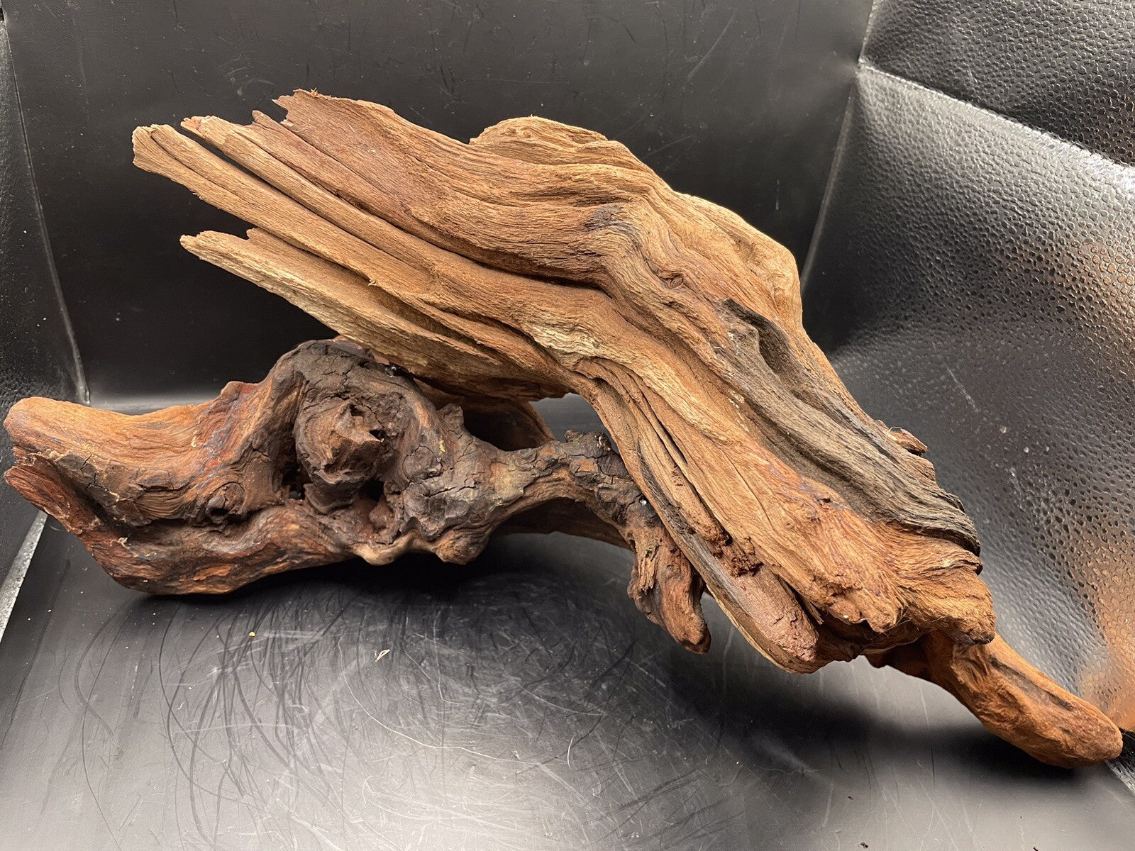Aquarium Driftwood Wood Mix Natural Aquascape Design Unique - Twisted Titan