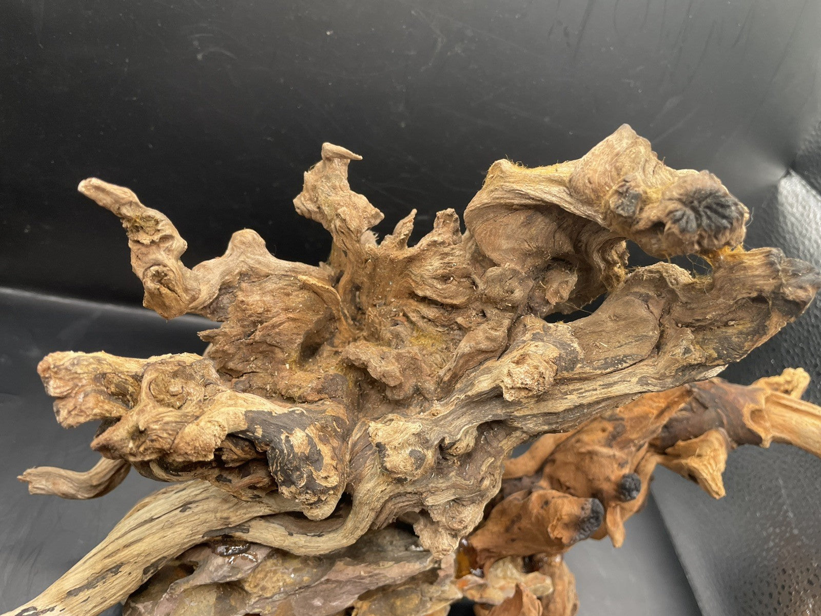 Aquarium Driftwood, Handcrafted Aquascape Unique Decoration - Skycoil
