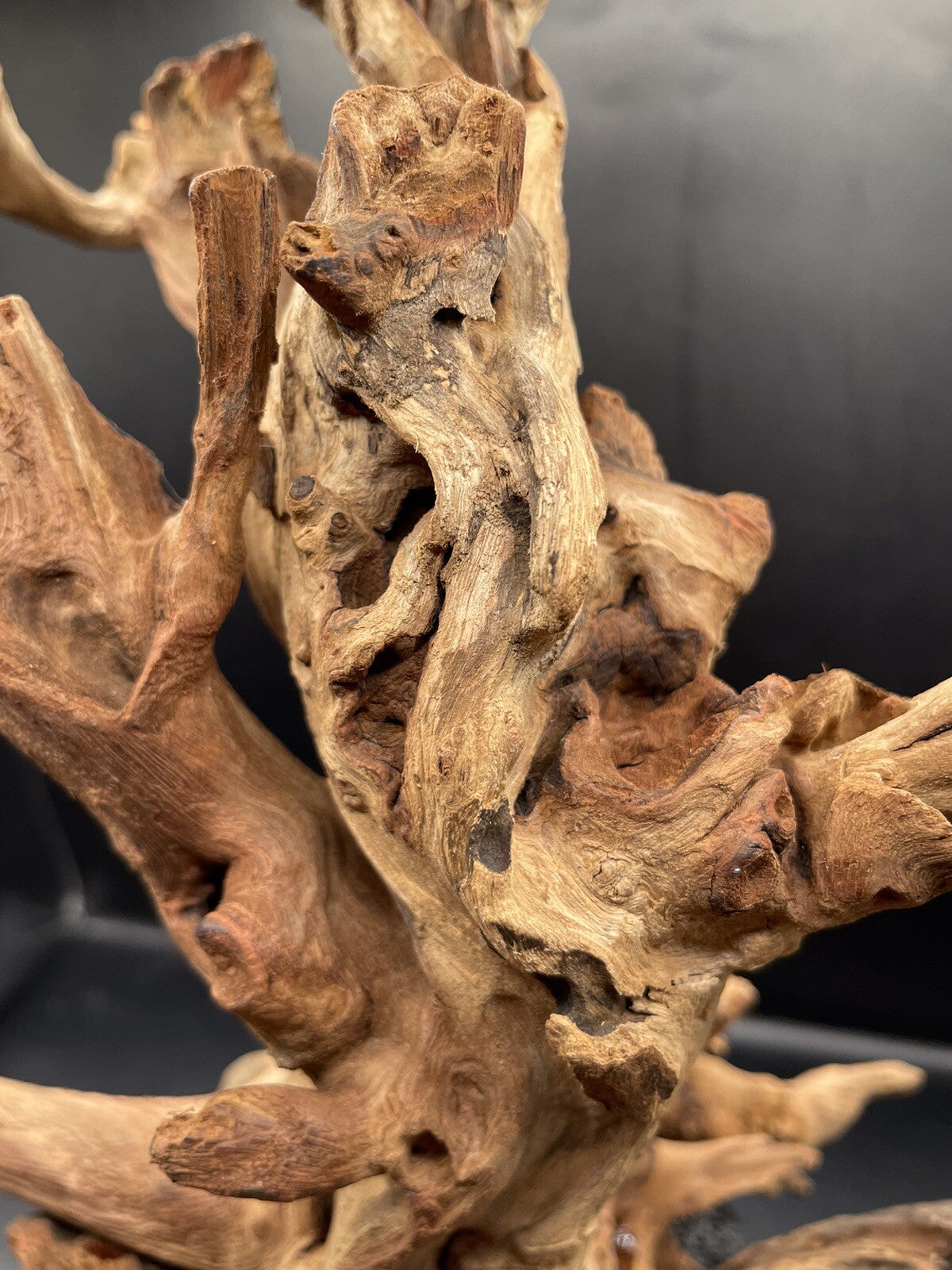 Aquarium Driftwood Wood Mix Natural Aquascape Unique Design - Fangspire Ascent