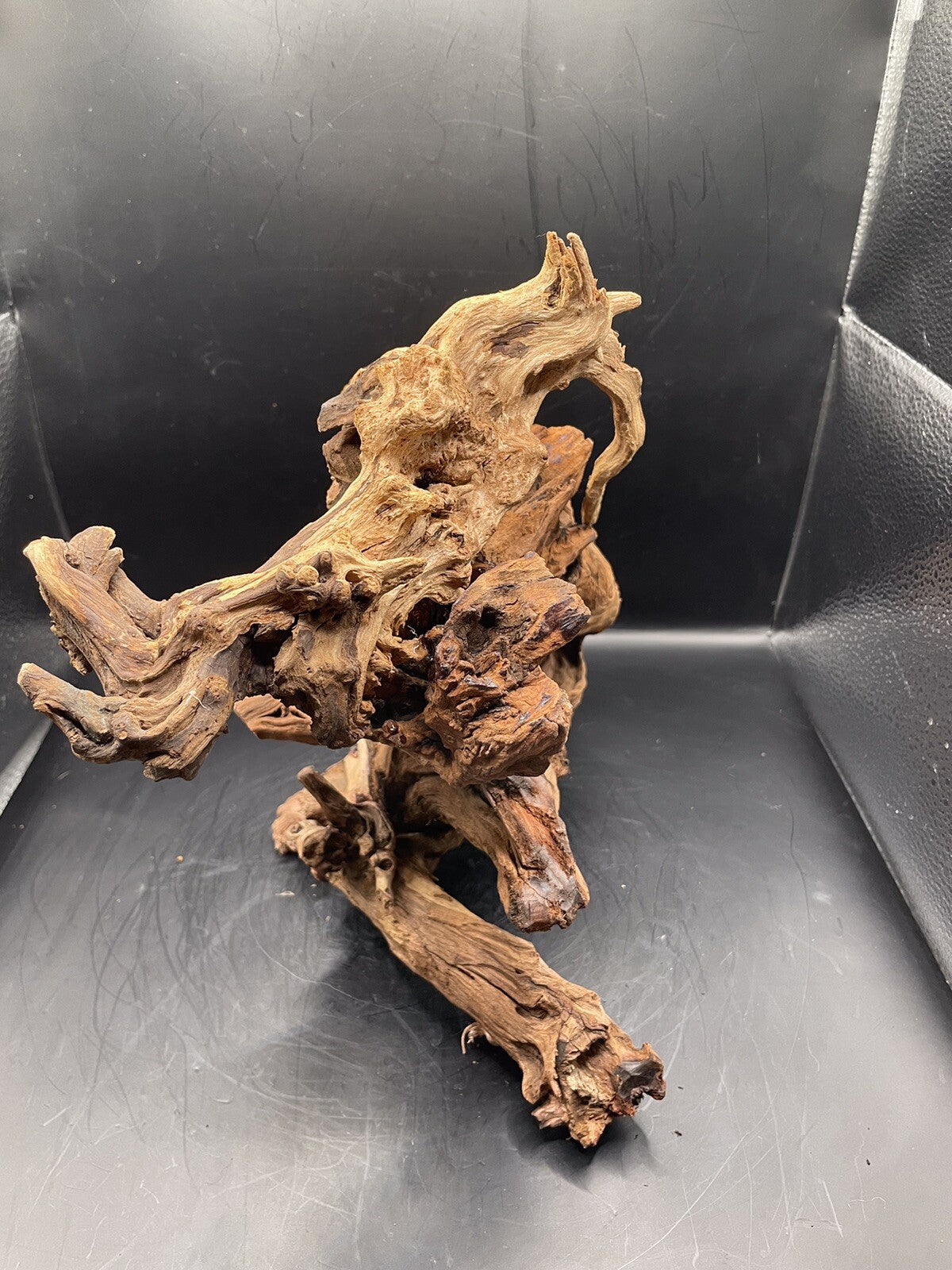 Aquarium Driftwood Wood Mix Natural Aquascape Design Unique - Serpents Spine