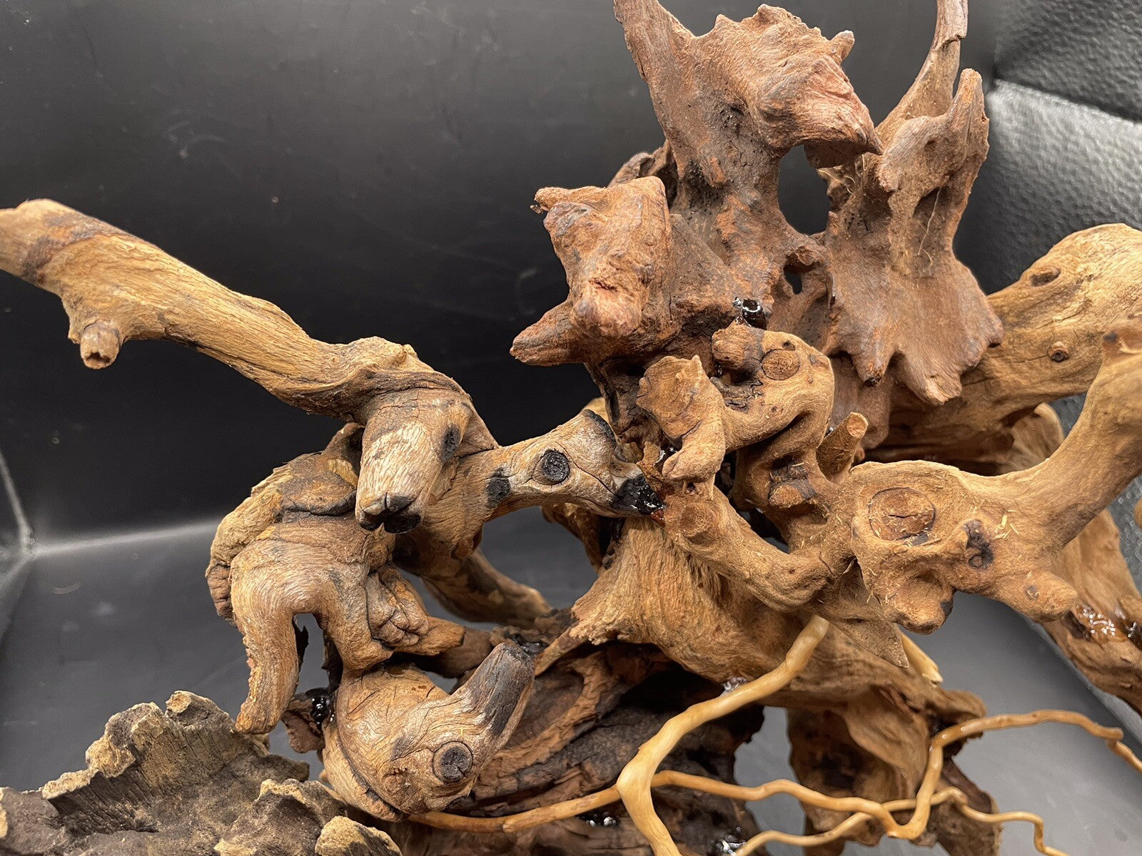 Aquarium Driftwood Wood Mix Natural Aquascape Design Unique -The Rootbound Heart