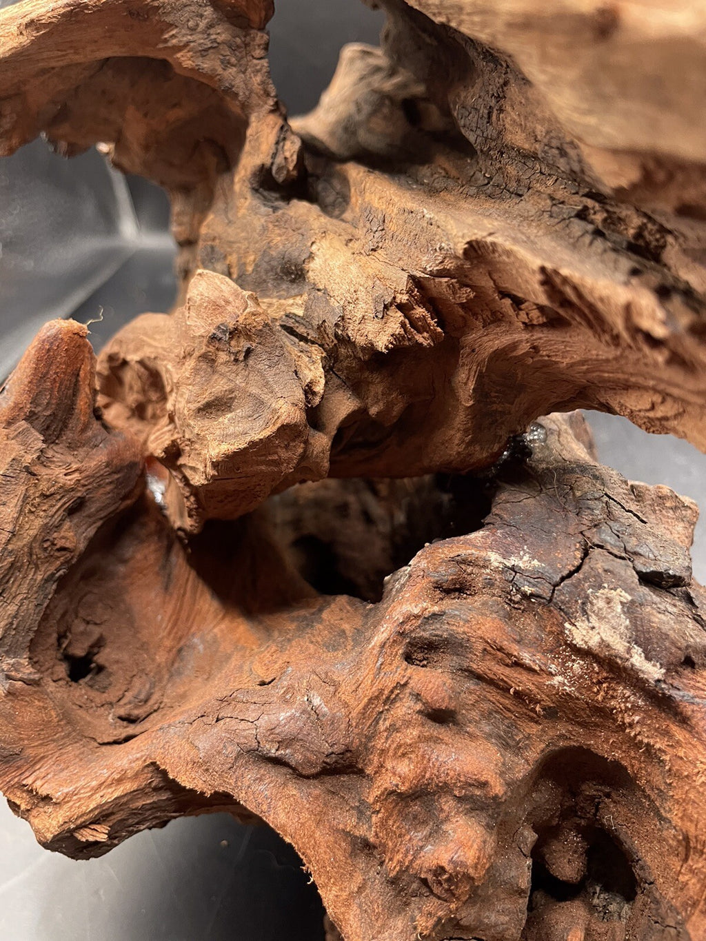 Aquarium Driftwood Wood Mix Natural Aquascape Design Unique - Twisted Titan