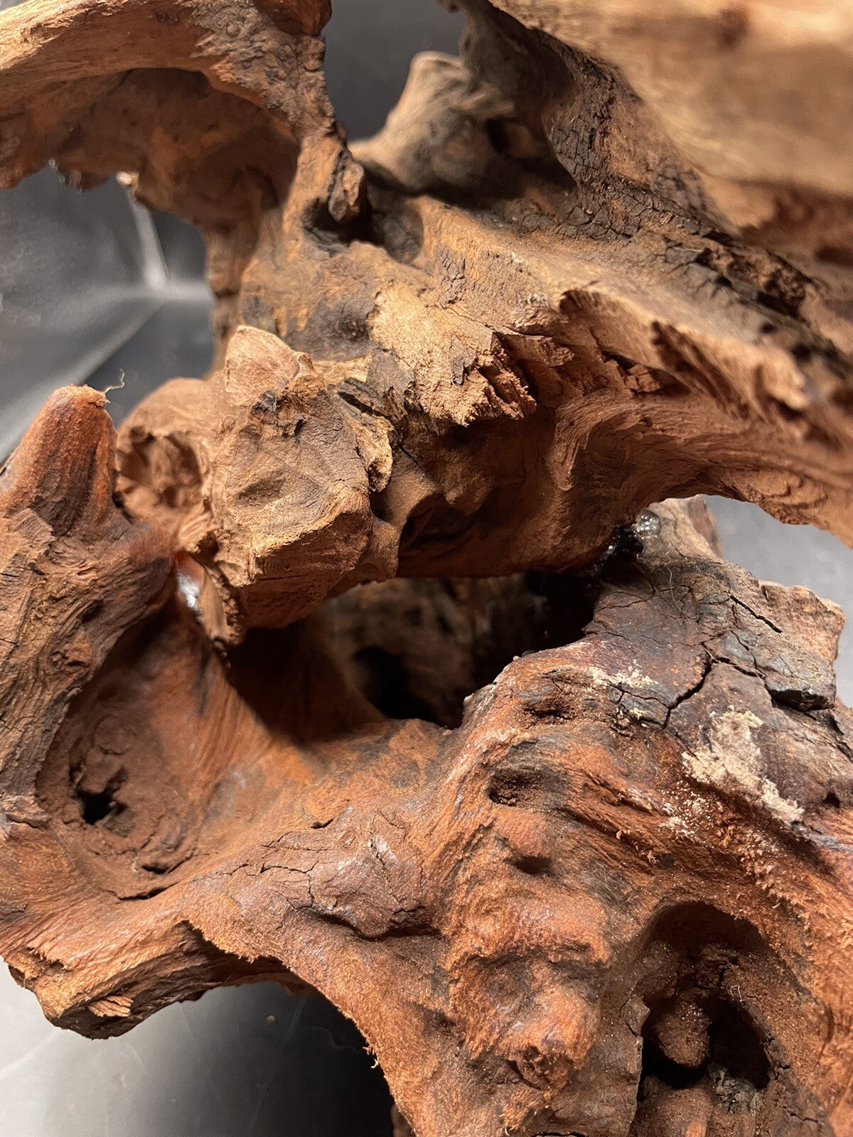Aquarium Driftwood Wood Mix Natural Aquascape Design Unique - Twisted Titan