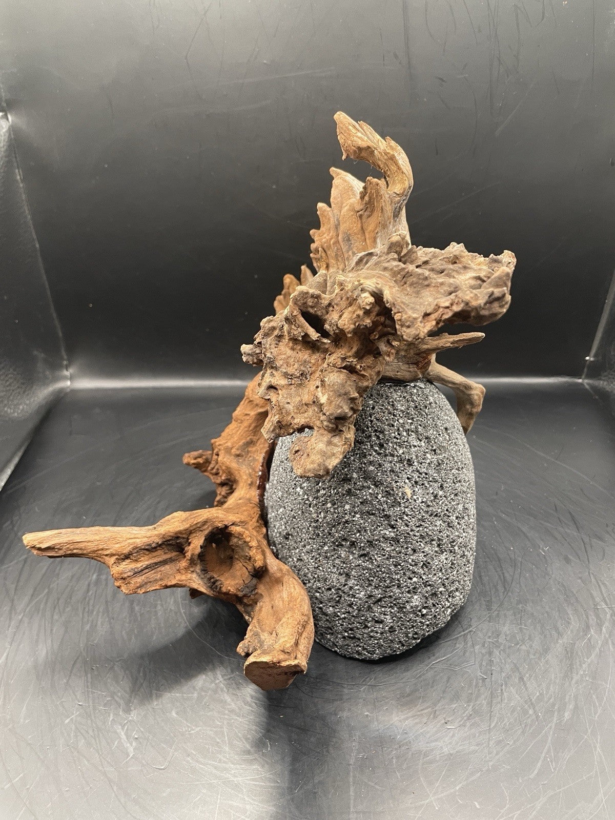Aquarium Driftwood Handcrafted Aquascape Unique Lava Rock - Etna