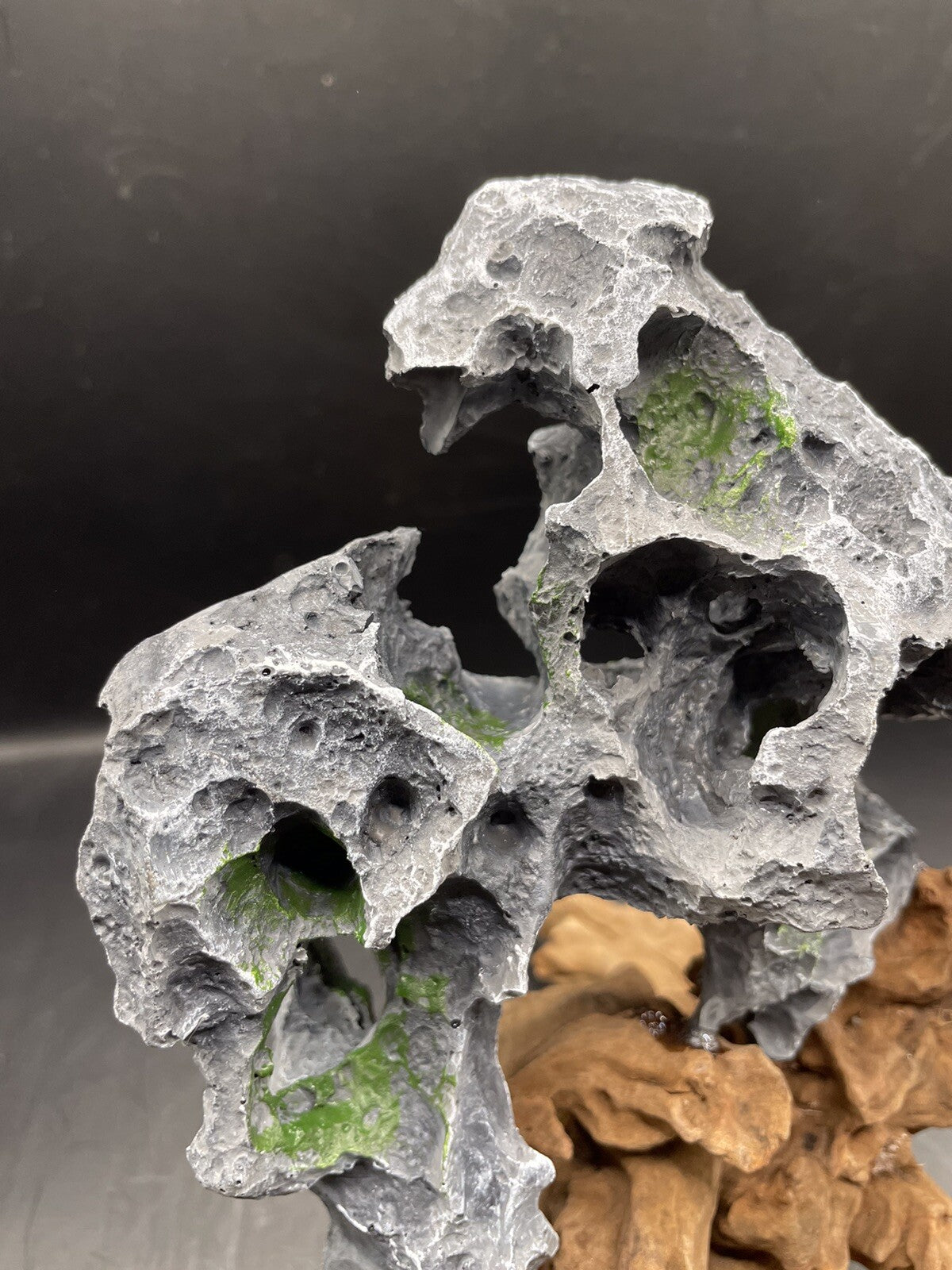 Aquarium Driftwood Wood Natural Aquascape Fish Tank - Another Planet B