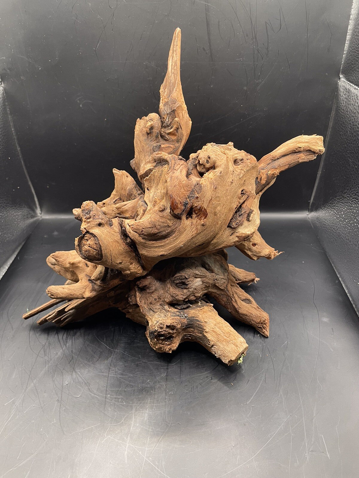 Aquarium Driftwood Wood Mix Natural Aquascape Design Unique - Krakens Claw
